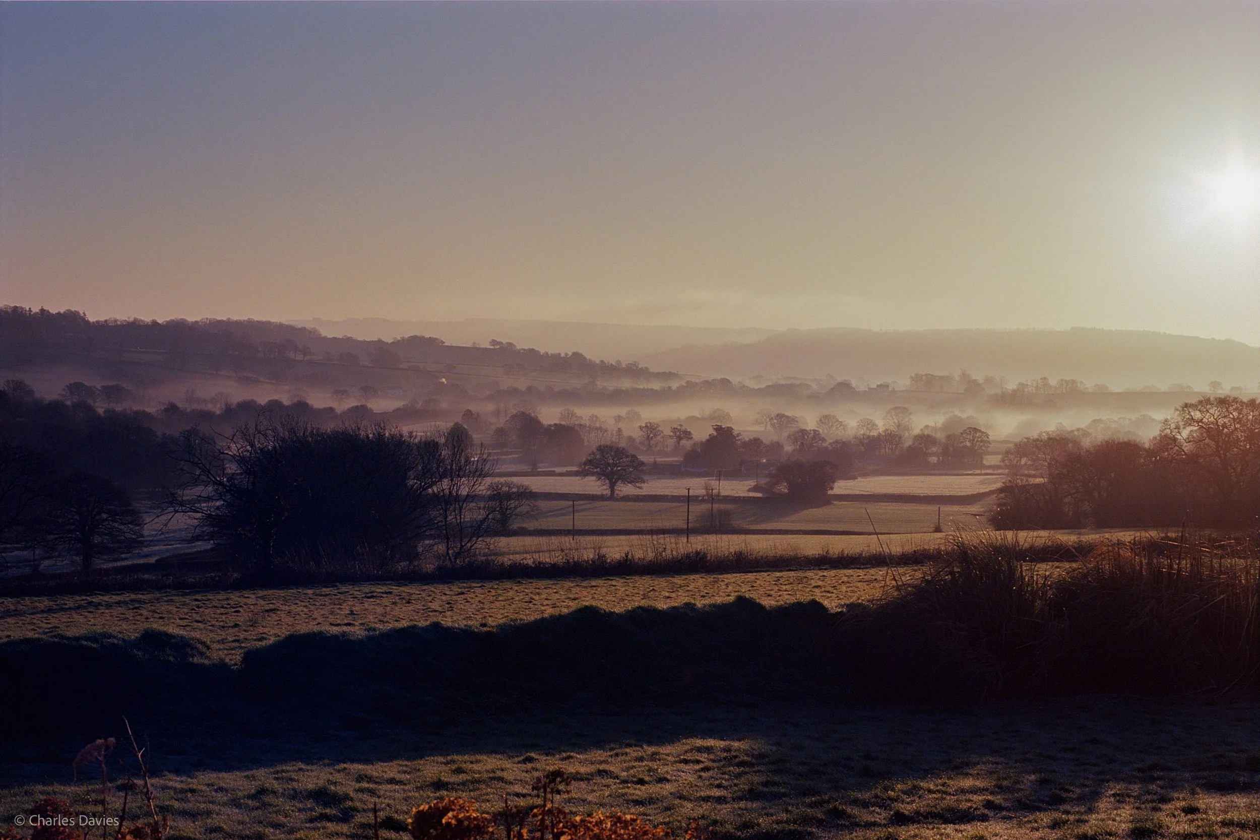 Roll 22 - 2025 - Europe - United Kingdom - Shute - Kodak Ektar 100 - Contax RTS - 35mm - Film - Colour