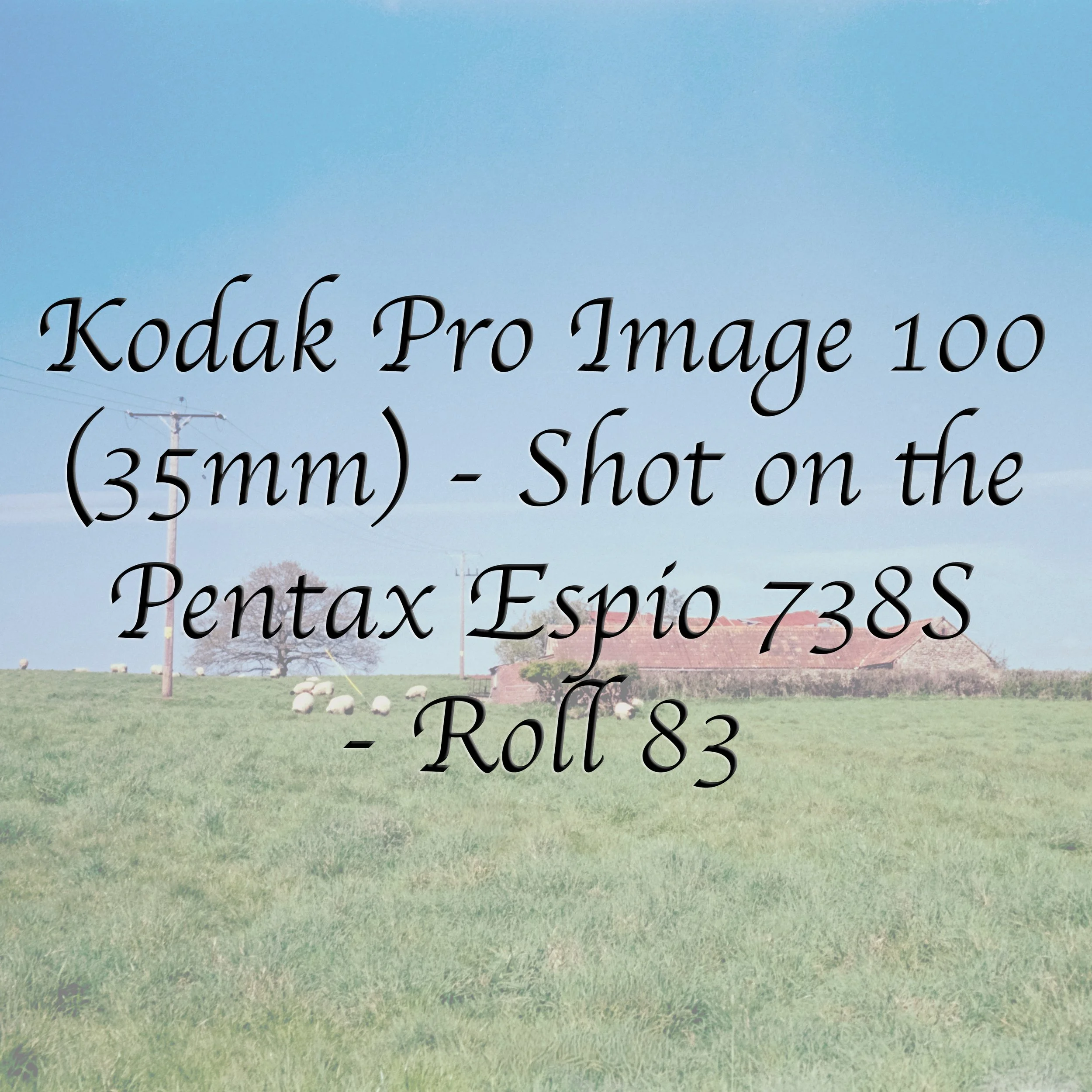 Kodak Pro Image 100 - Roll 83