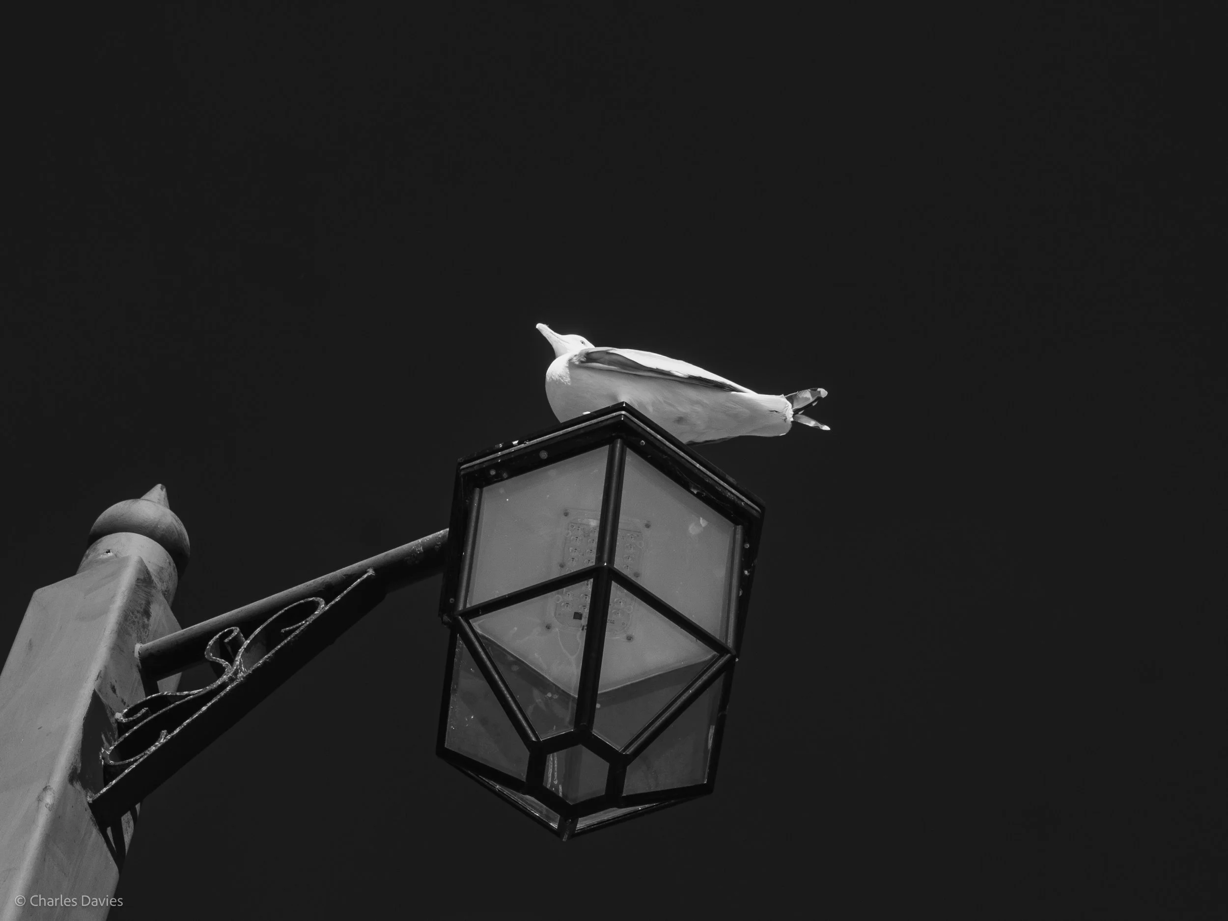 Manual - ISO 100 + F/8 + 1/100th - Sidmouth  