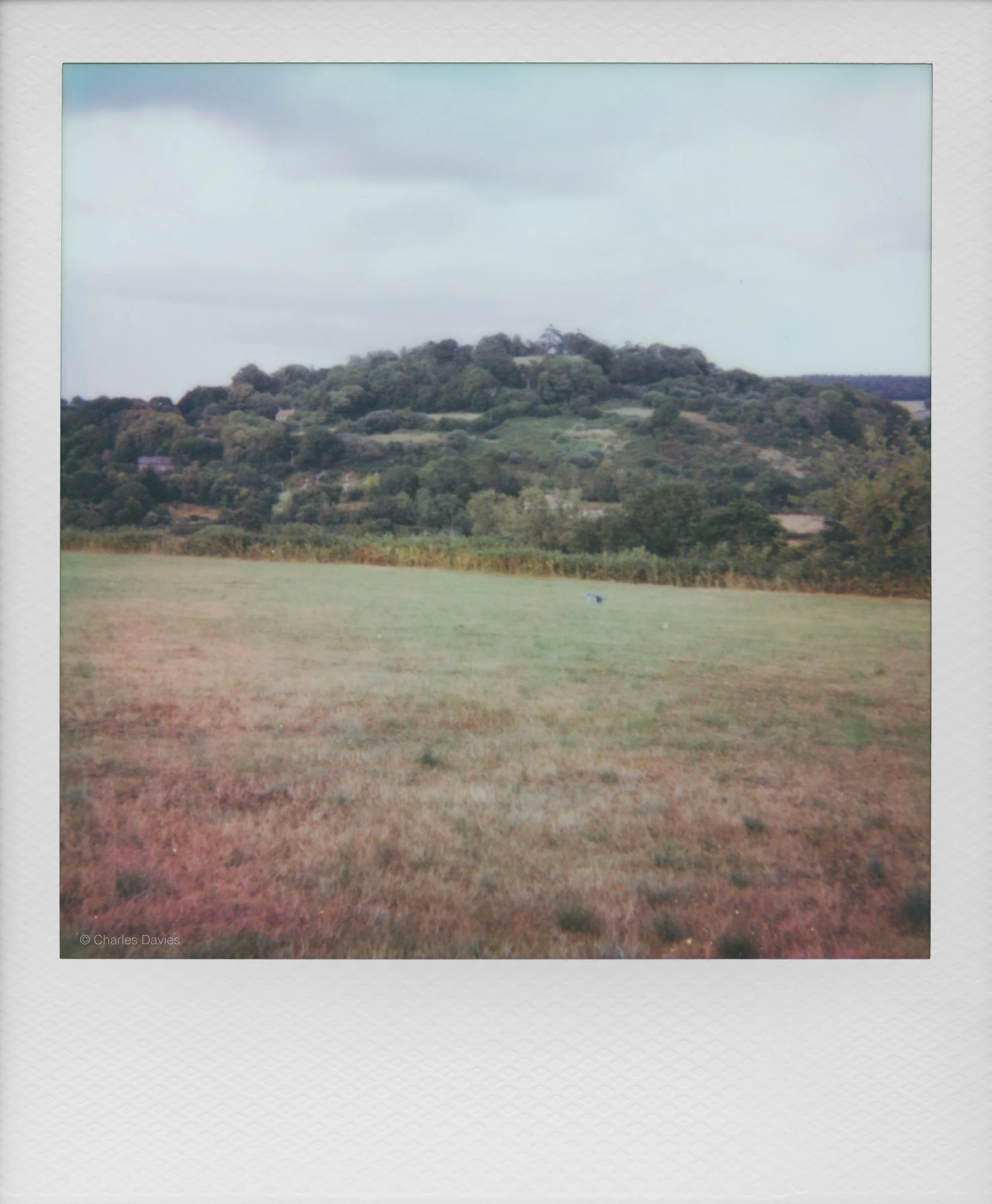 68 - 2025 - Polaroid Autofocus 660.jpg