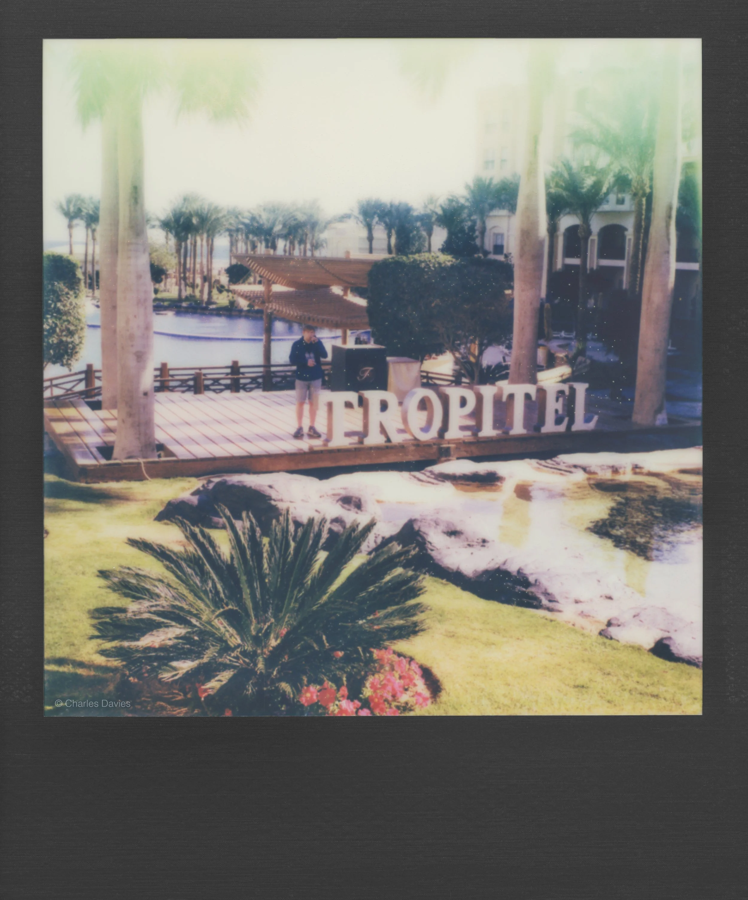 28 - 2023 - Polaroid SX-70.jpg