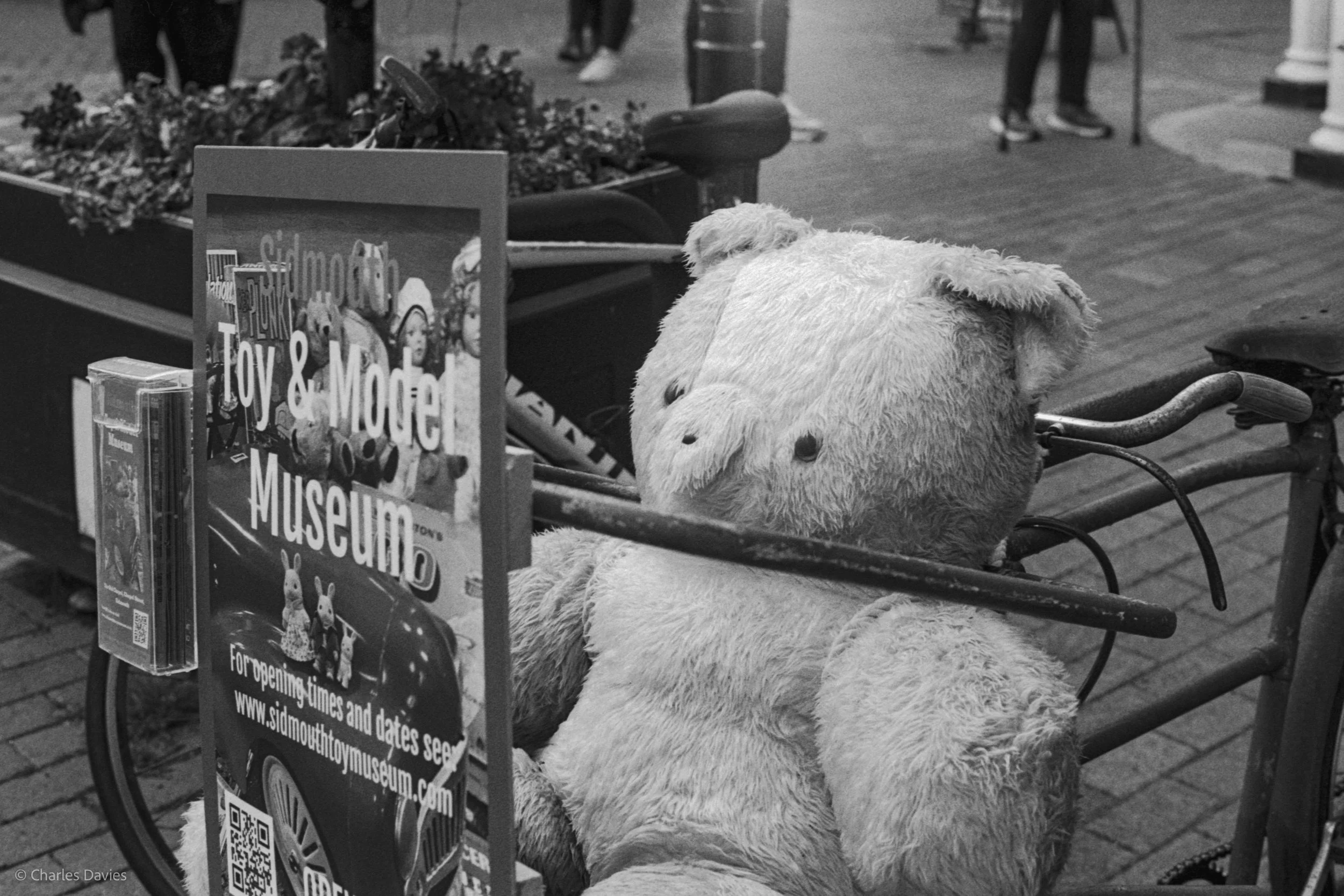 Roll 27 - 2025 - Europe - United Kingdom - Sidmouth - Ilford HP5 Plus 400 - Contax RTS - 35mm - Film - B&W 
