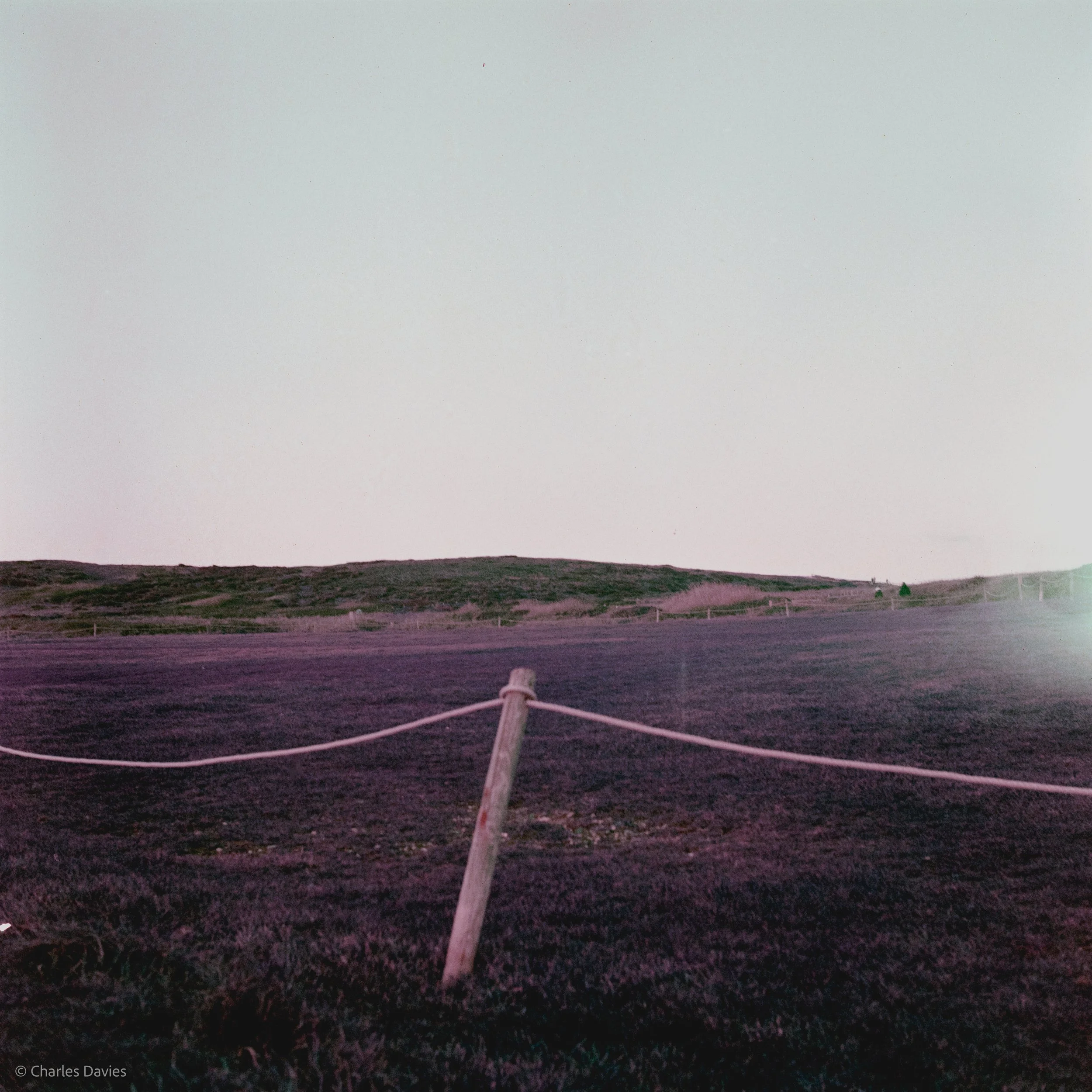 Image-7.jpg