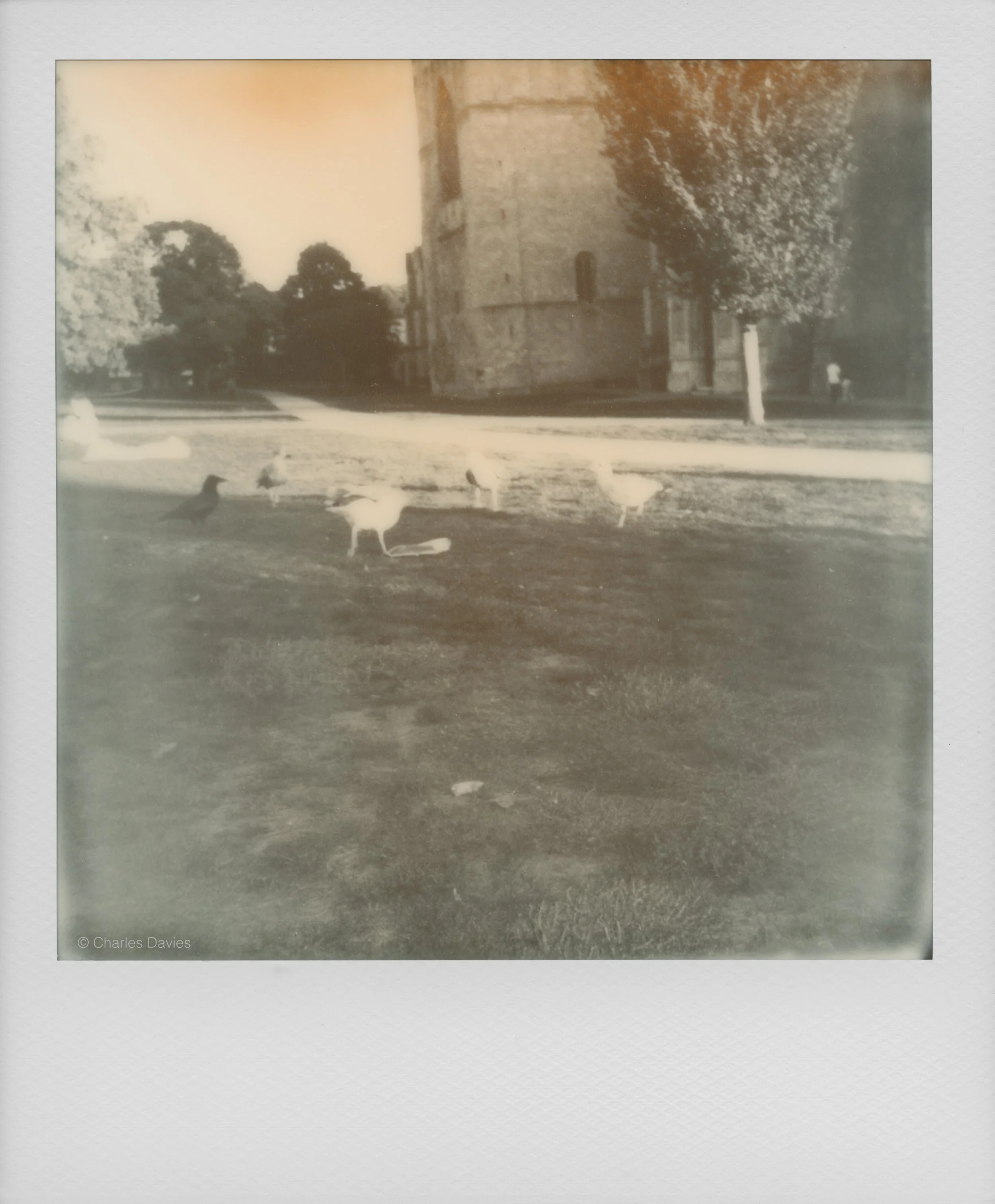 22 - 2022 - Polaroid Now (aged).jpg