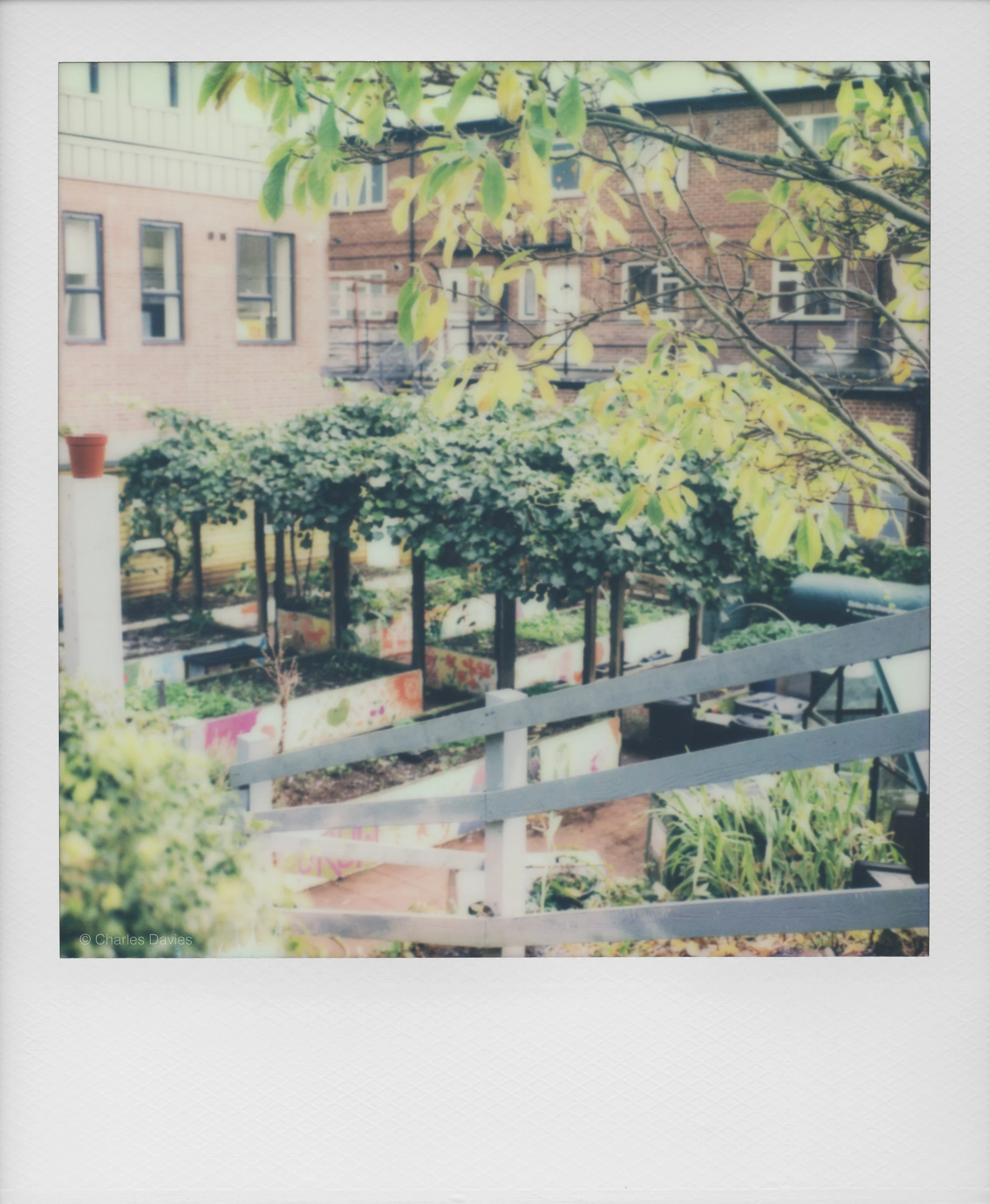 51 - 2022 - Polaroid SX-70.jpg