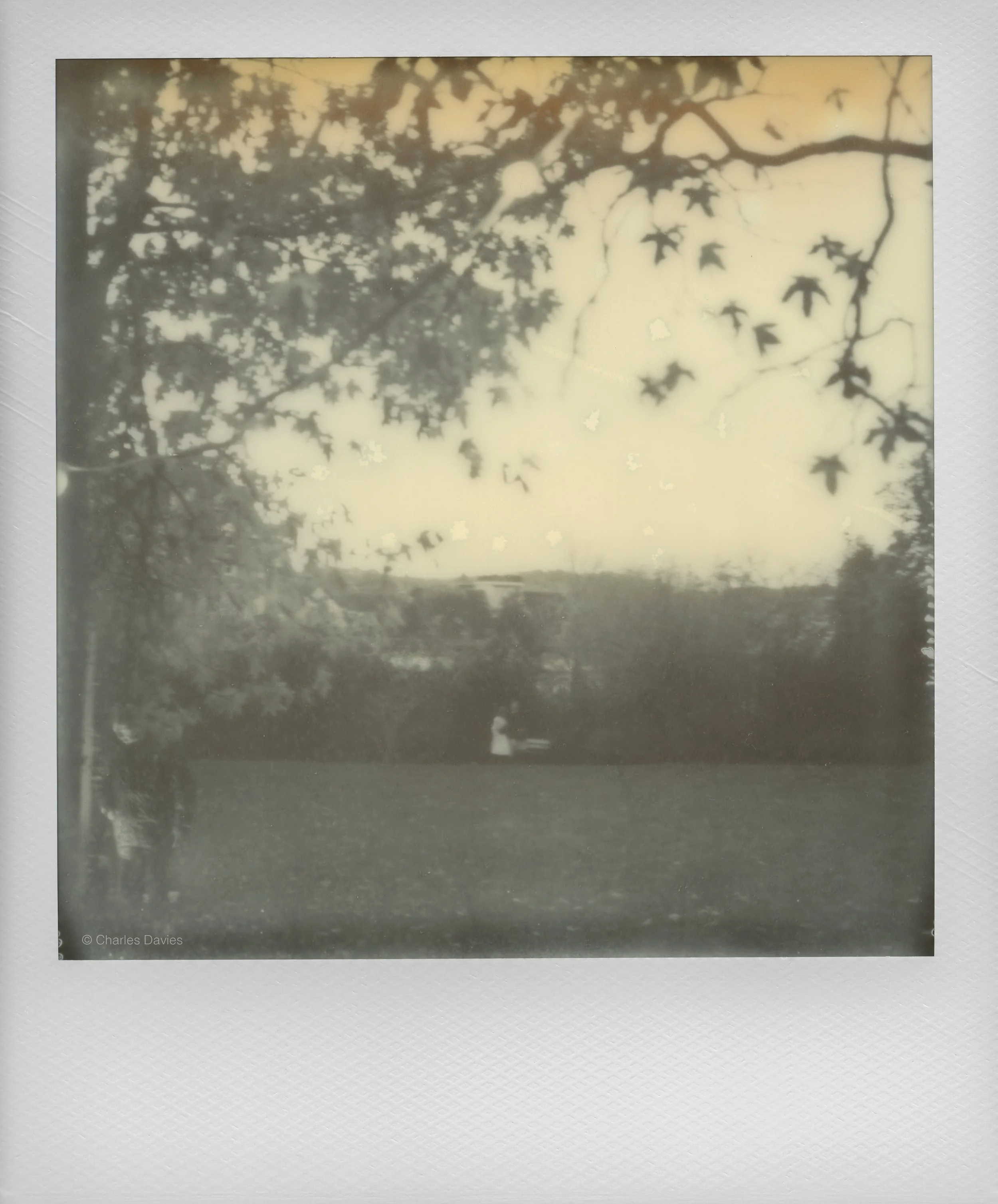 106 - 2022 - Polaroid SX-70 (aged).jpg