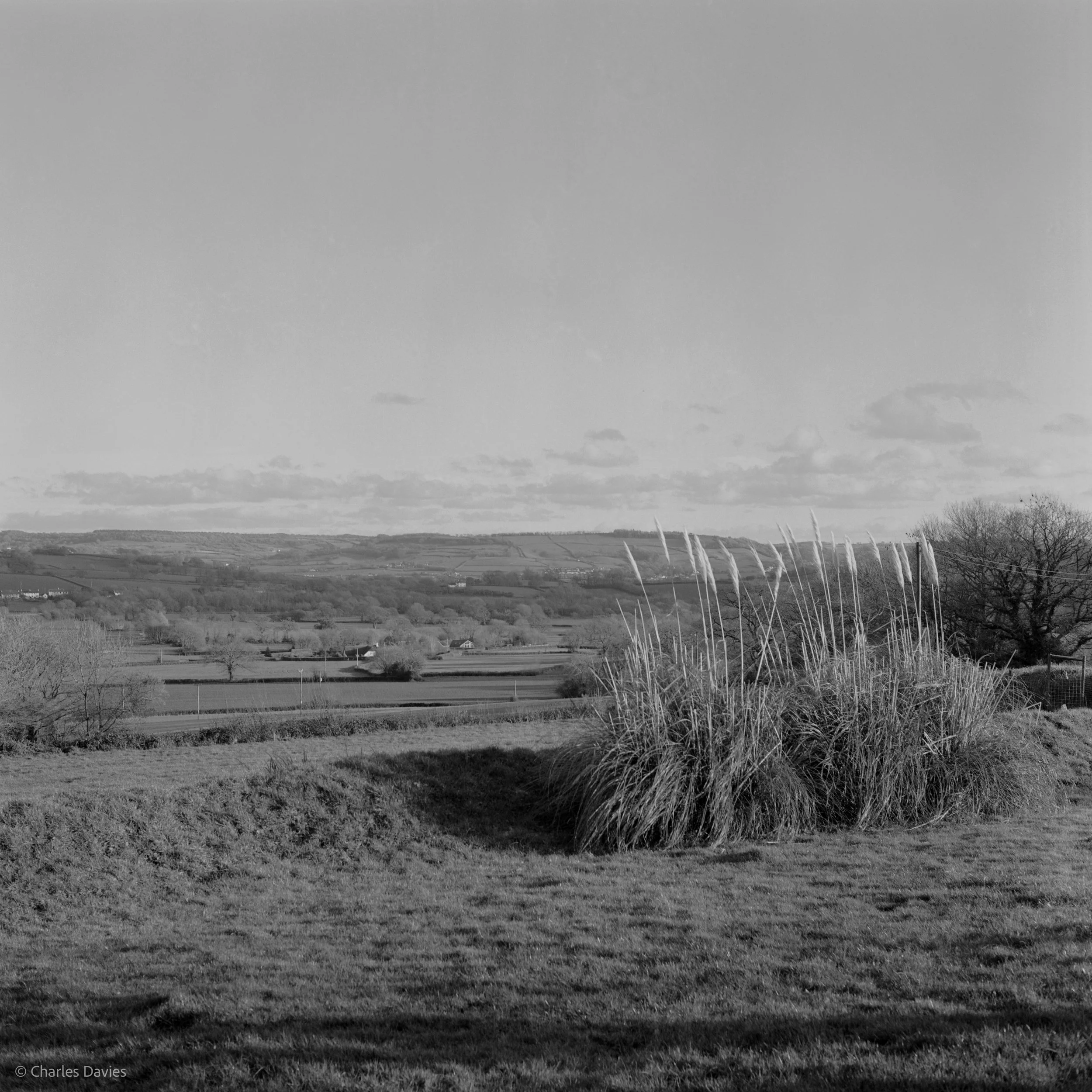 Shot 2 - Home 