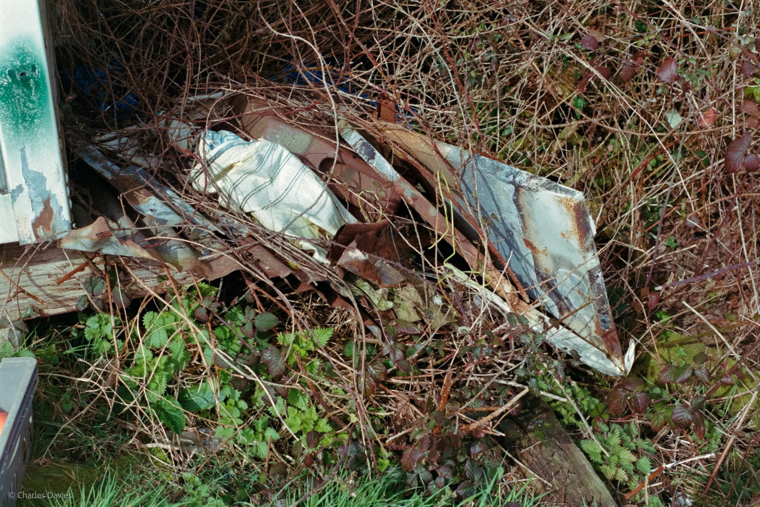 Shot 26 - F/8 + 1/500th - Home  