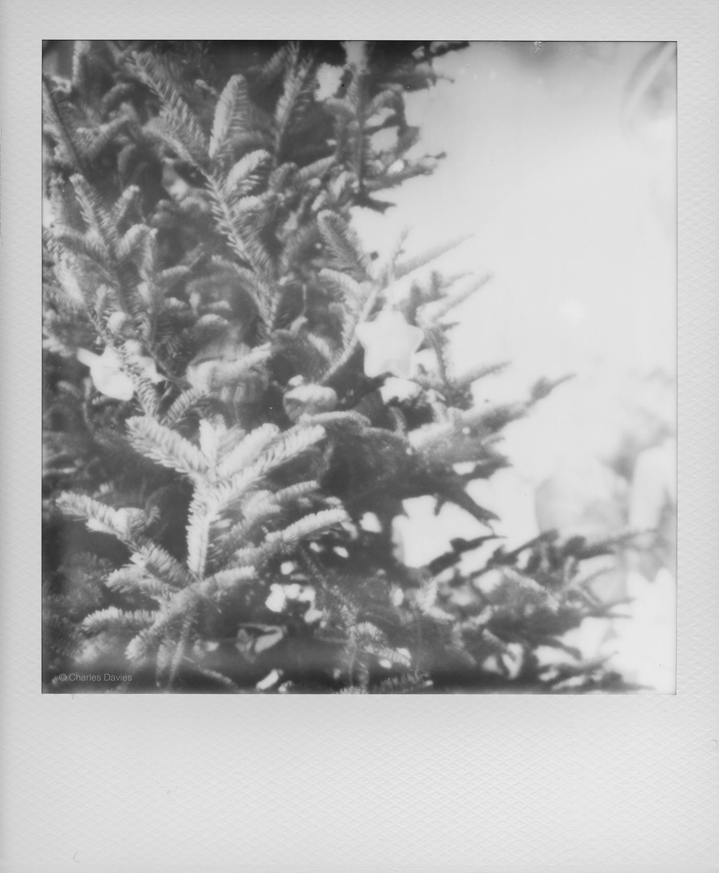 120 - 2022 - Polaroid SX-70 Sonar.jpg