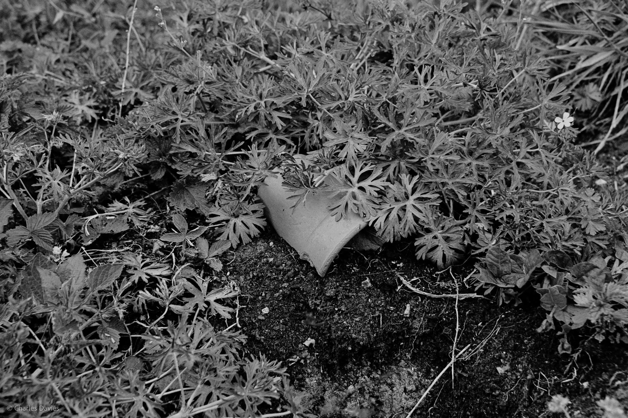 Shot 17 - Shutter Priority - Shute 