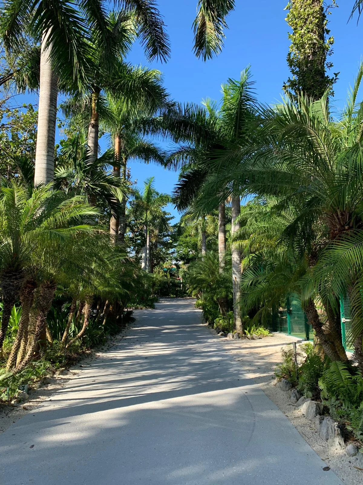 Lyford Cay Club Luxury Weddings Venue in Nassau, Bahamas