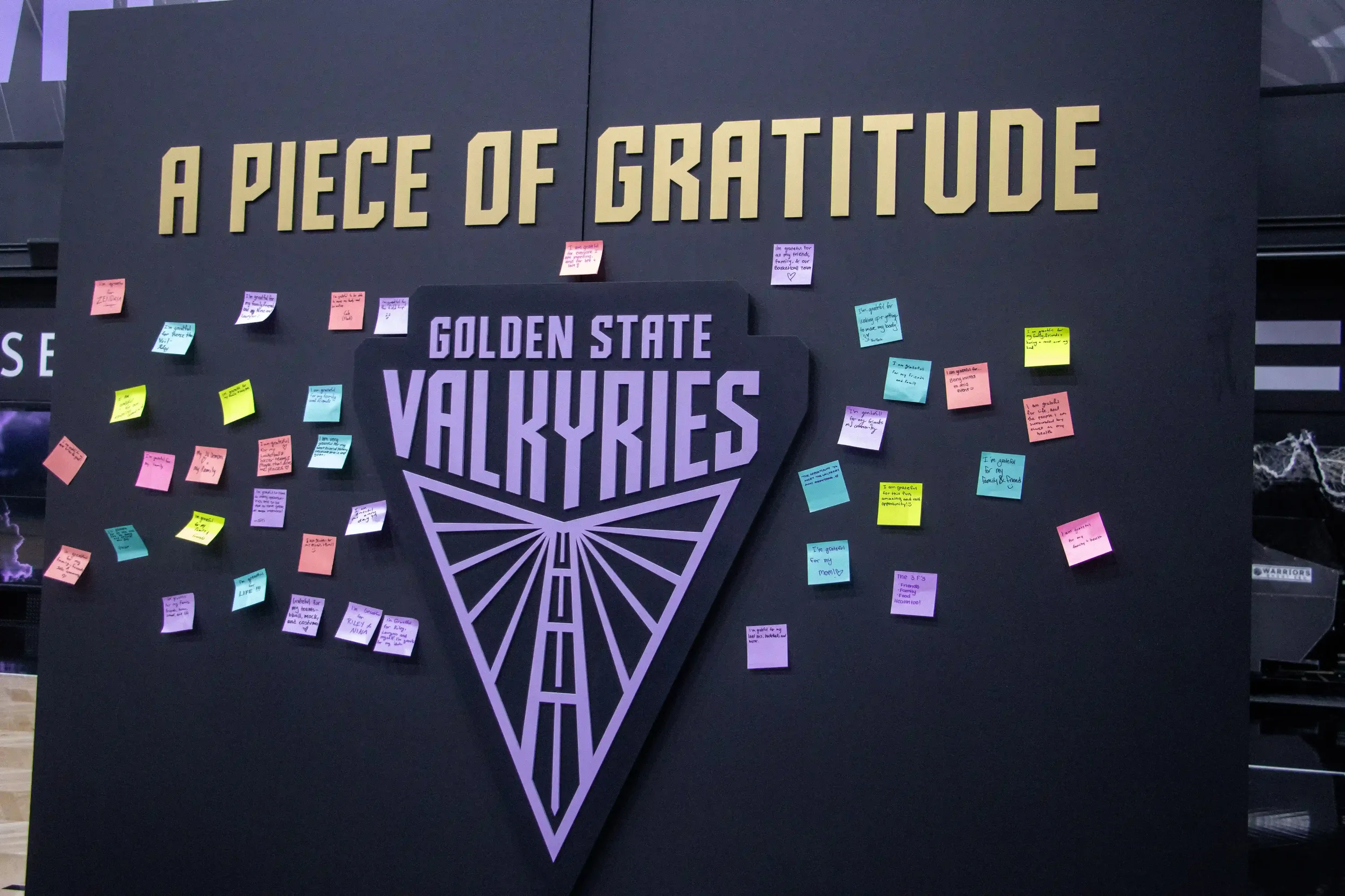 Valkyries (14 of 20).webp