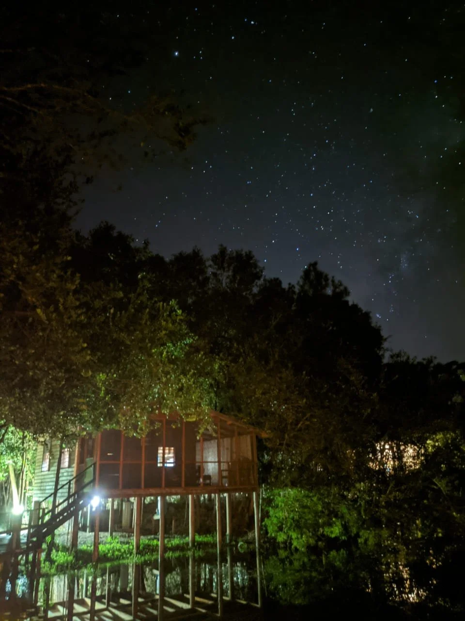 Hut stands over the water near the Belize Zoo