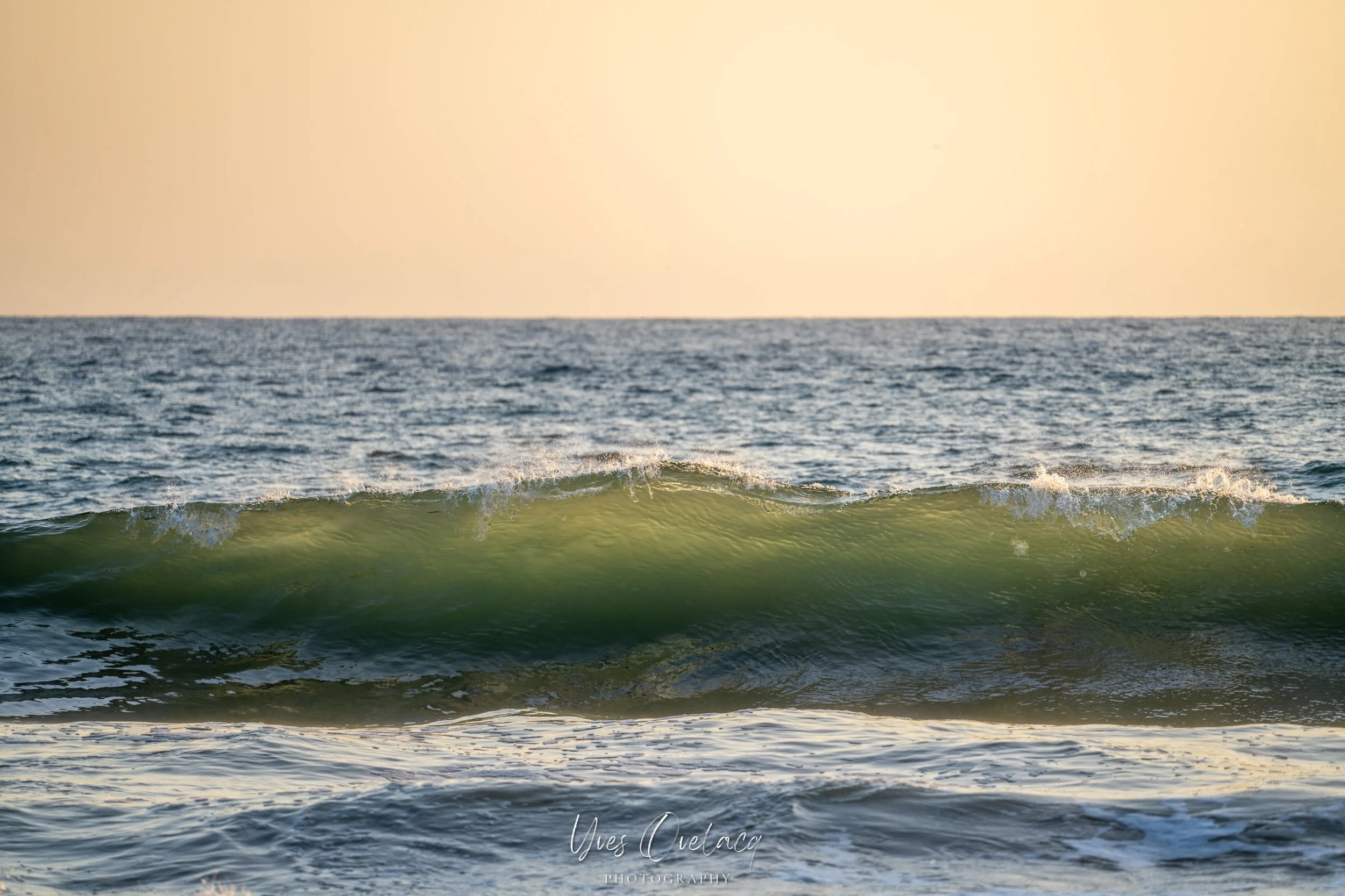 OvelacqPhotography-182661_result.jpg