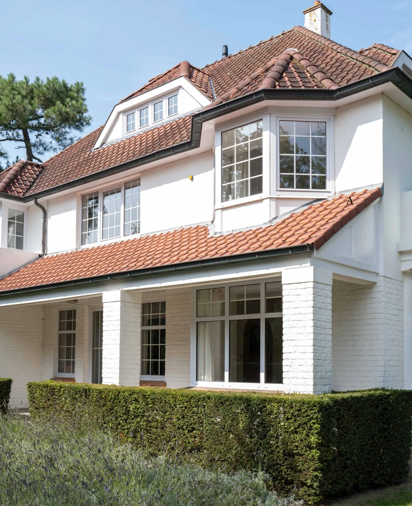 Screenshot 2026-03-29 at 11.47.50.png