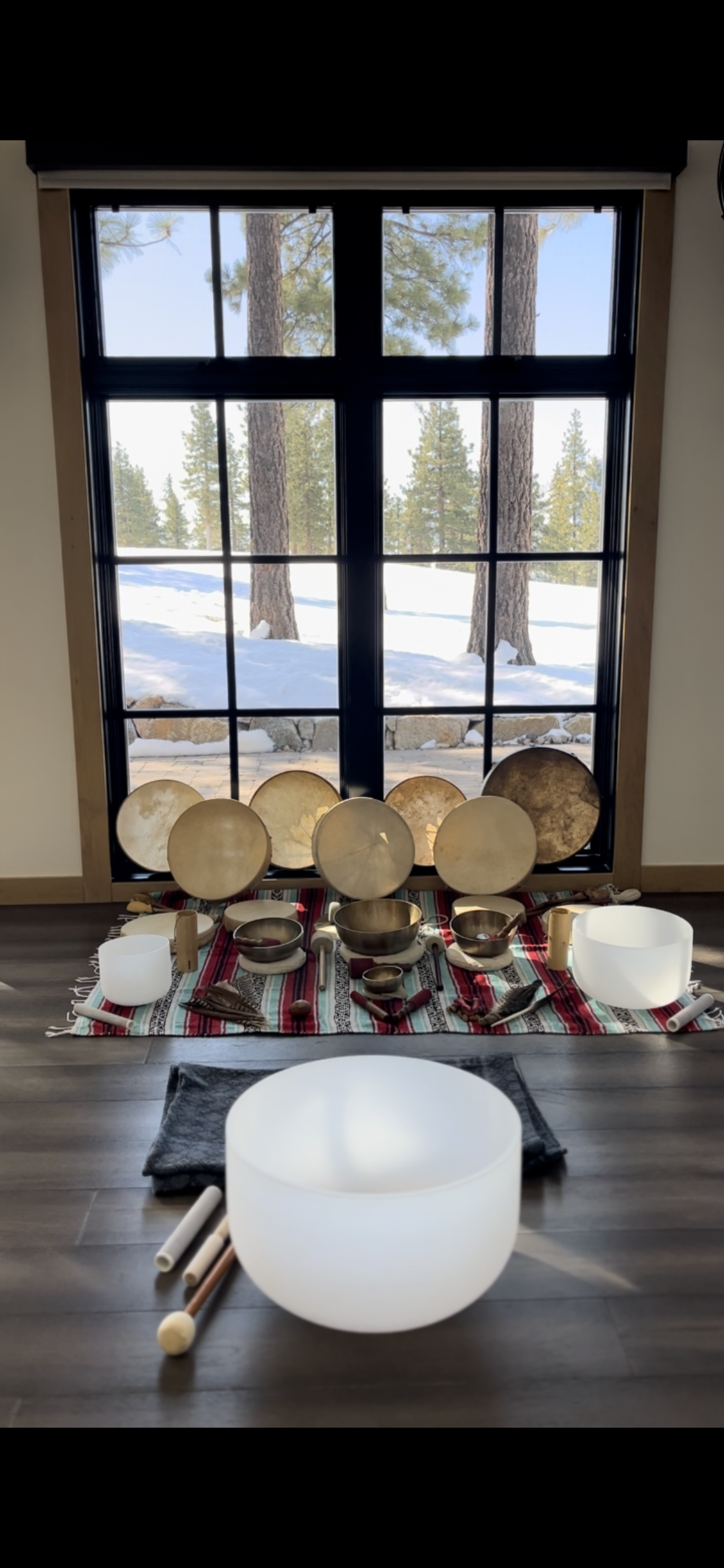 Experiential Sound Healing/VST Workshop