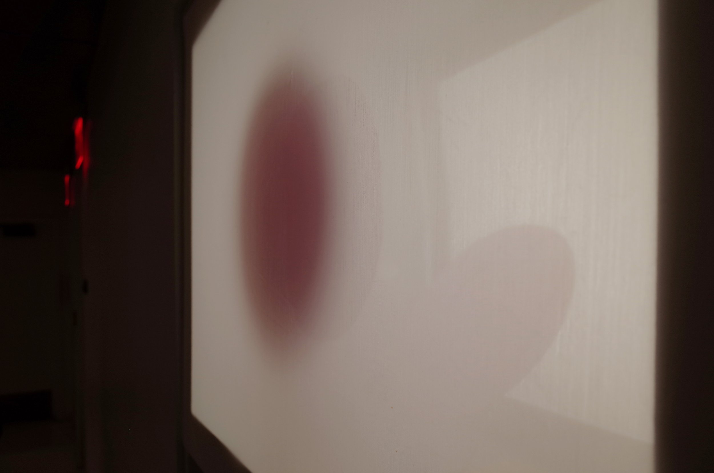 Close up.jpg
