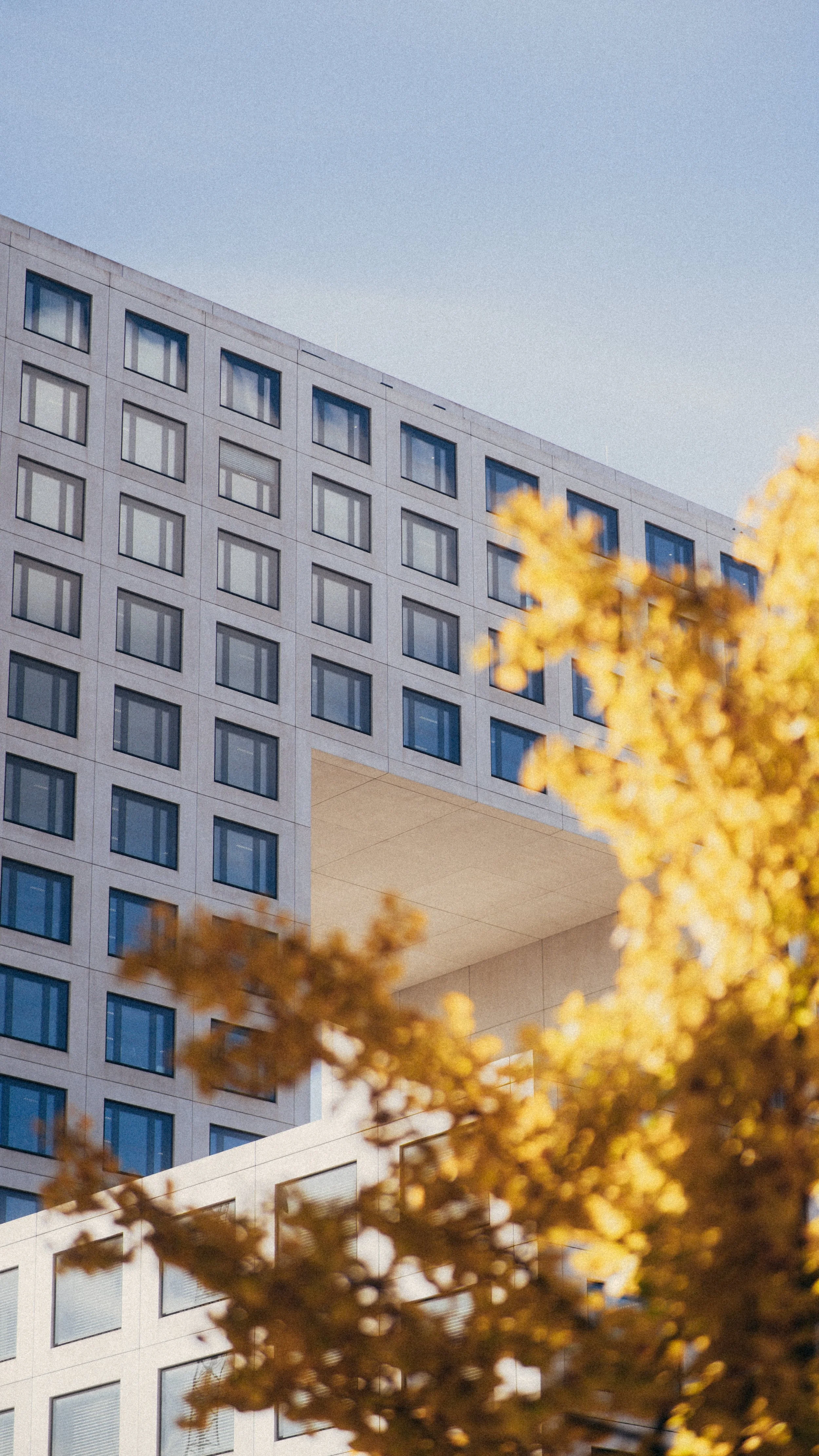 Modern multi-story building with a large, enclosed skybridge and trees with yellow leaves in the foreground.