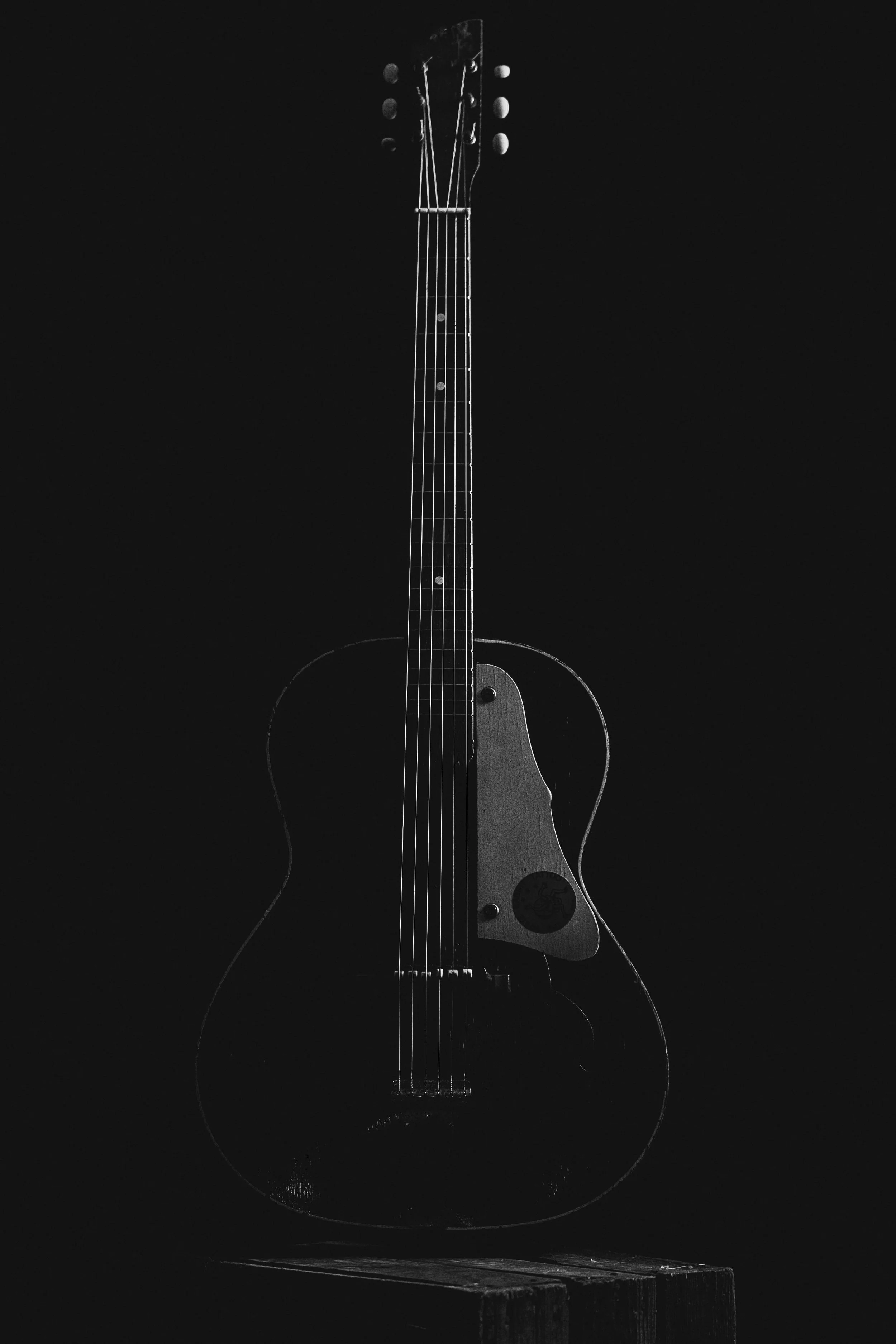 Guitar in black and white.jpg