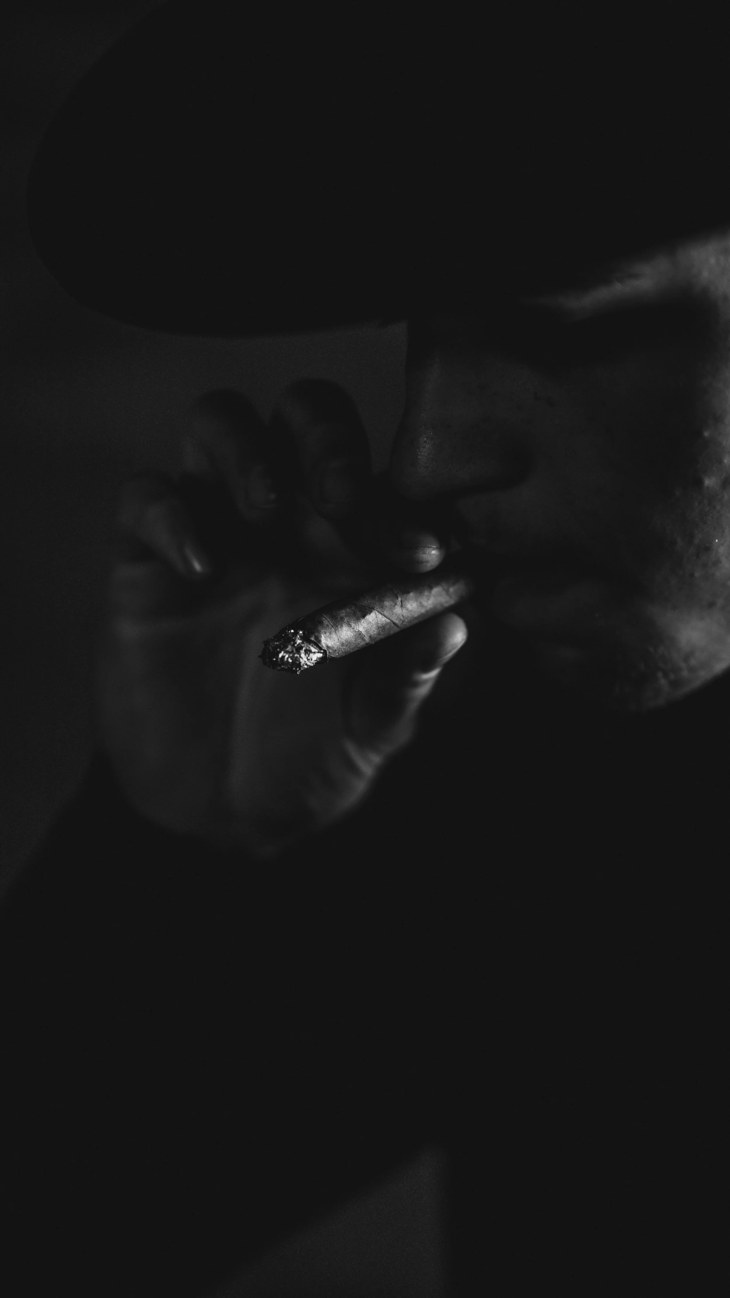 Cigar close-up.jpg