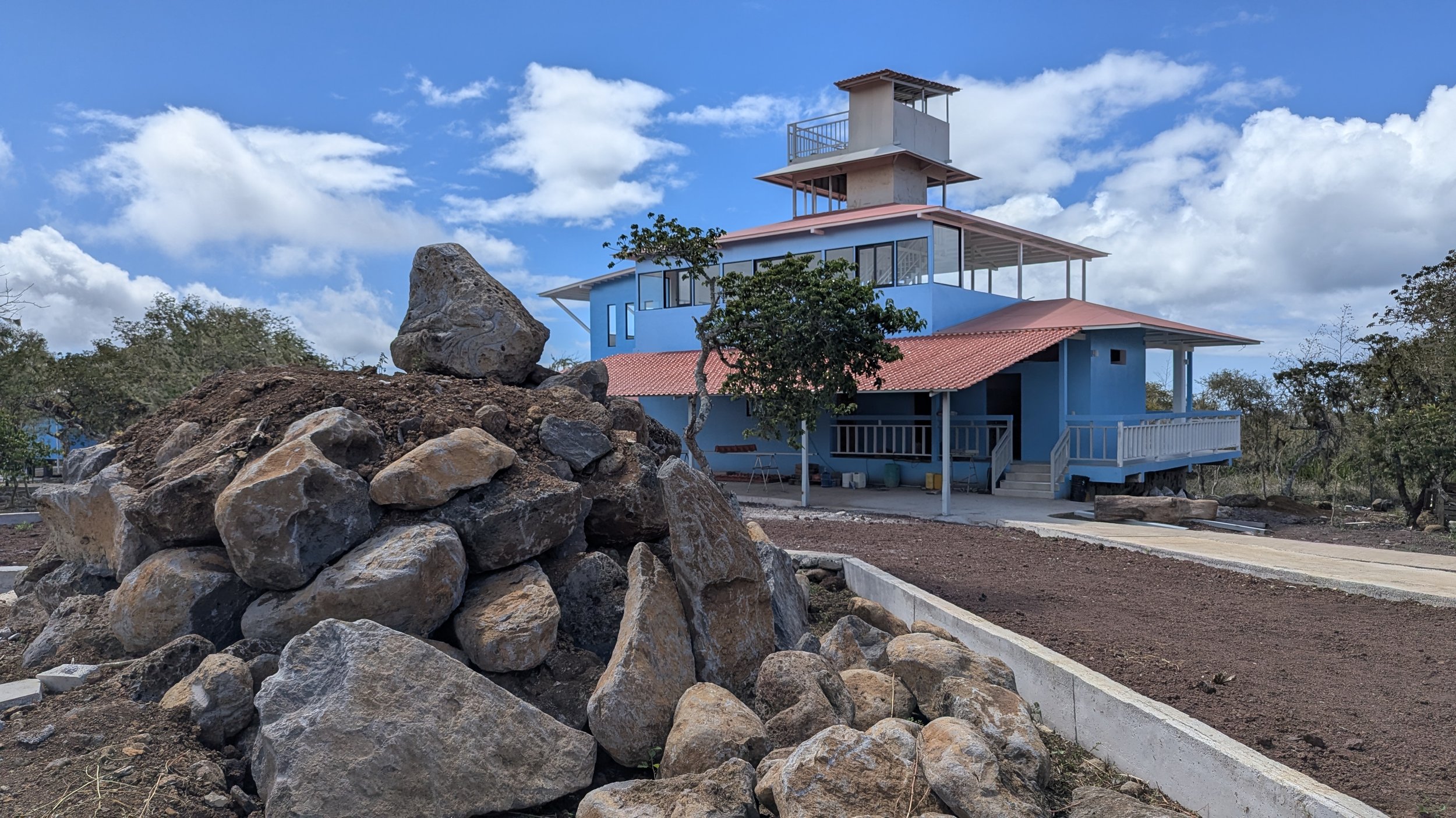 PXL_20260116_194228964.RAW-01.COVER - Copy.jpg