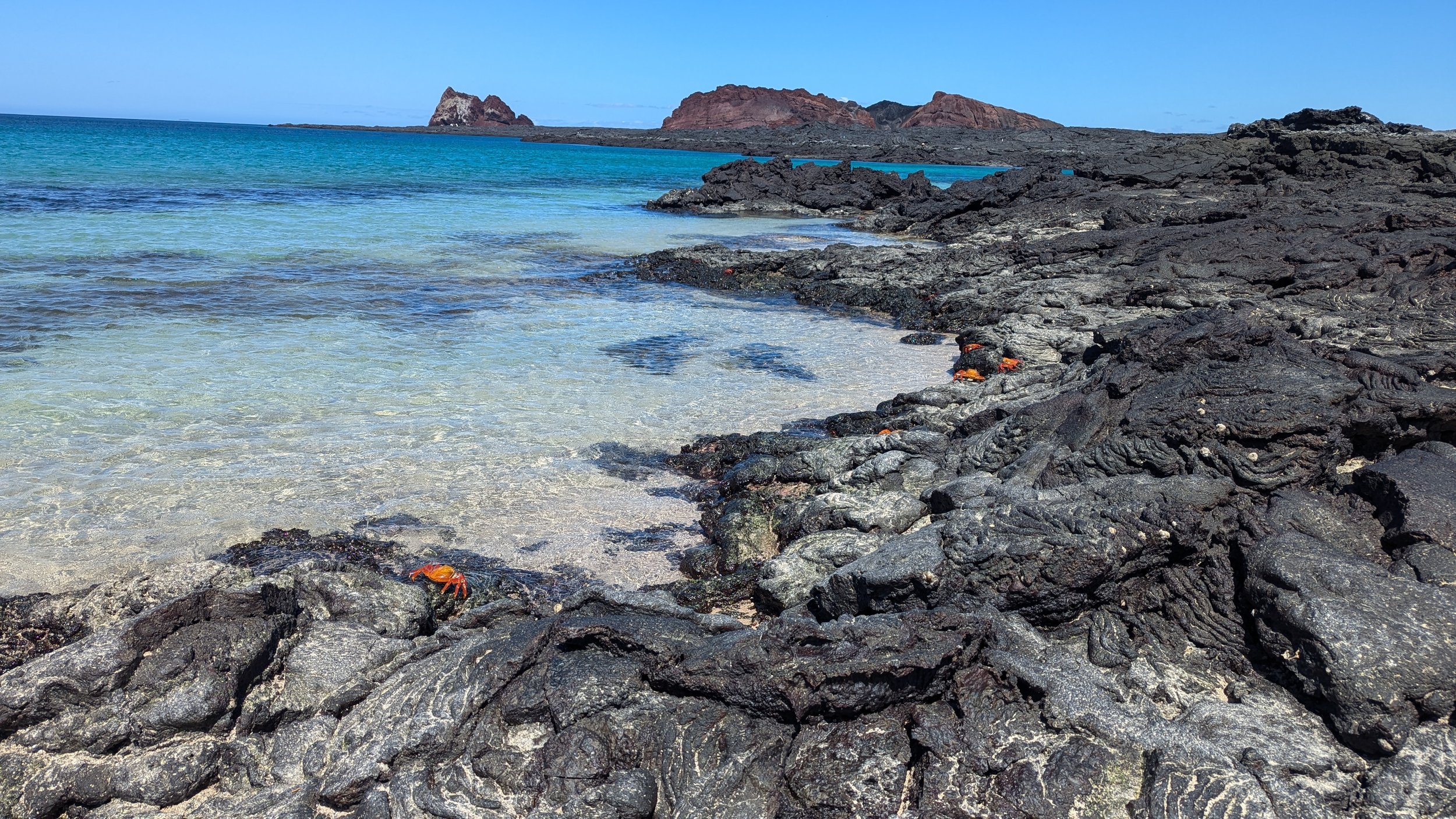 Aa and pahoehoe basaltic lava flows can be studied in many areas right at the beach!