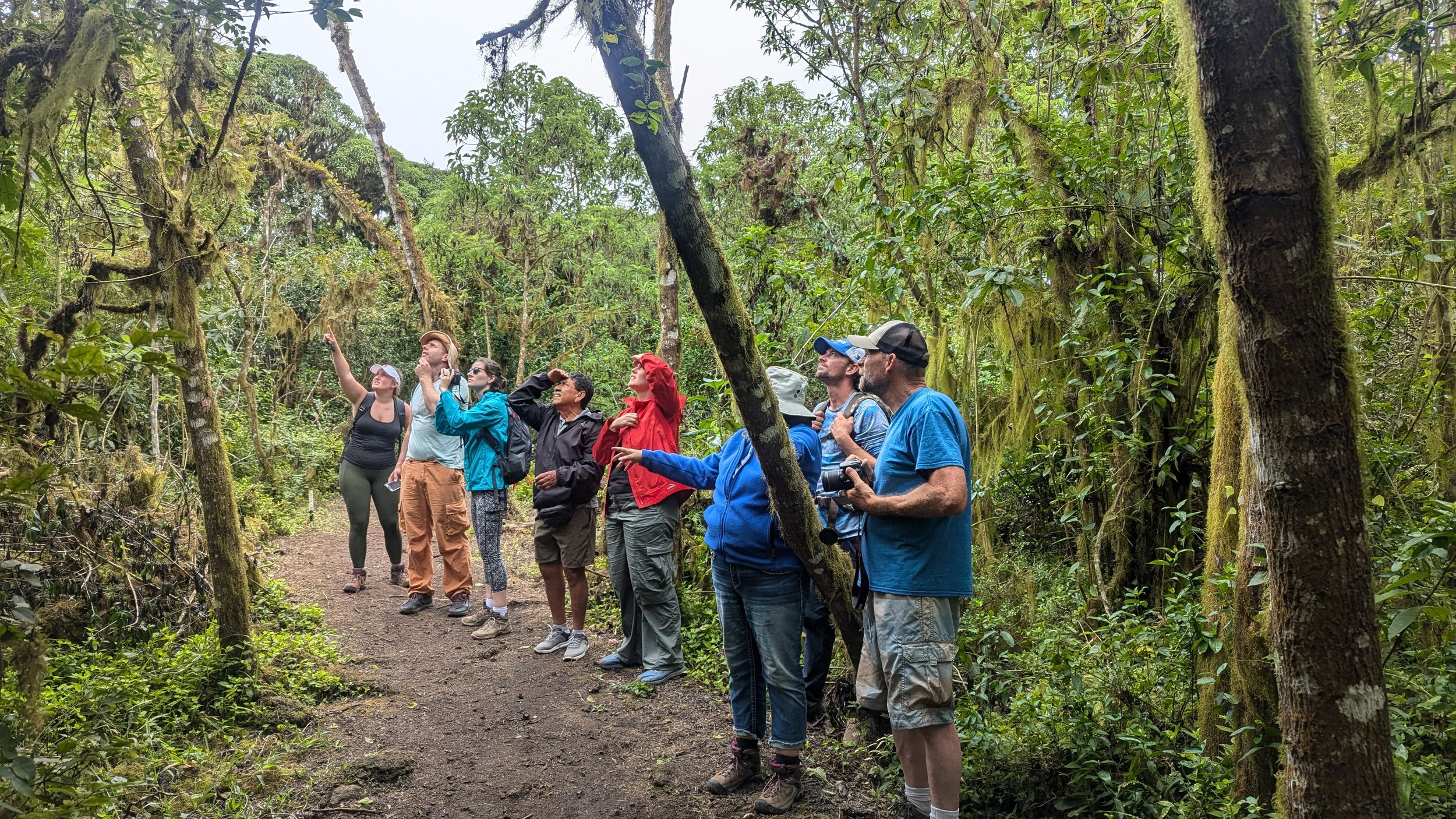 Sheffer Birding Tour - Galapgos