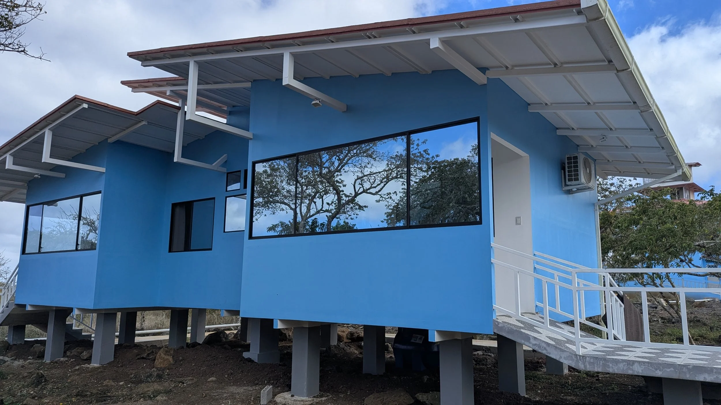 PXL_20260117_160735550.RAW-01.MP.COVER - Copy.jpg