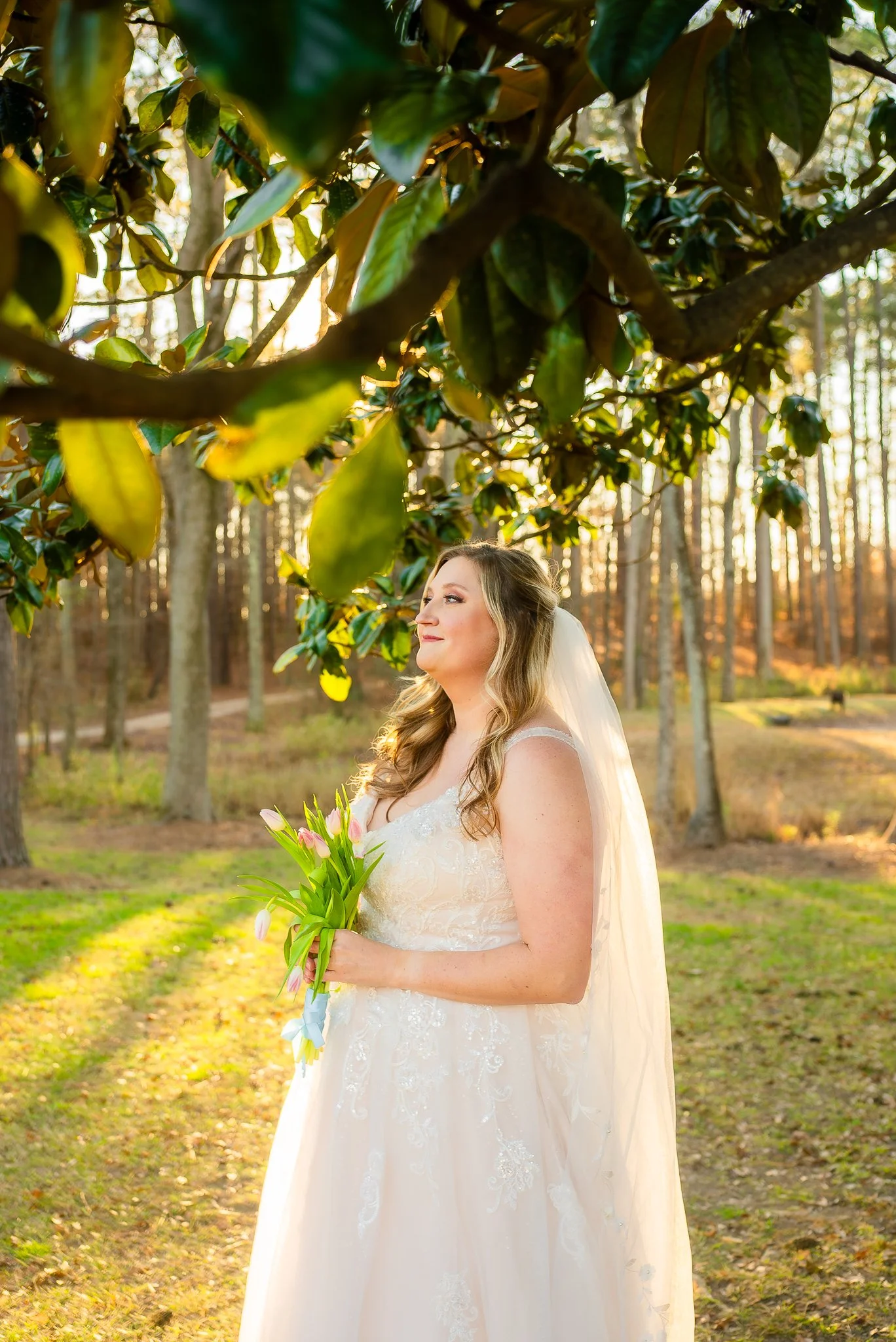 A Golden-Hour Bridal Session at Mini Acres Farm | Raleigh, NC
