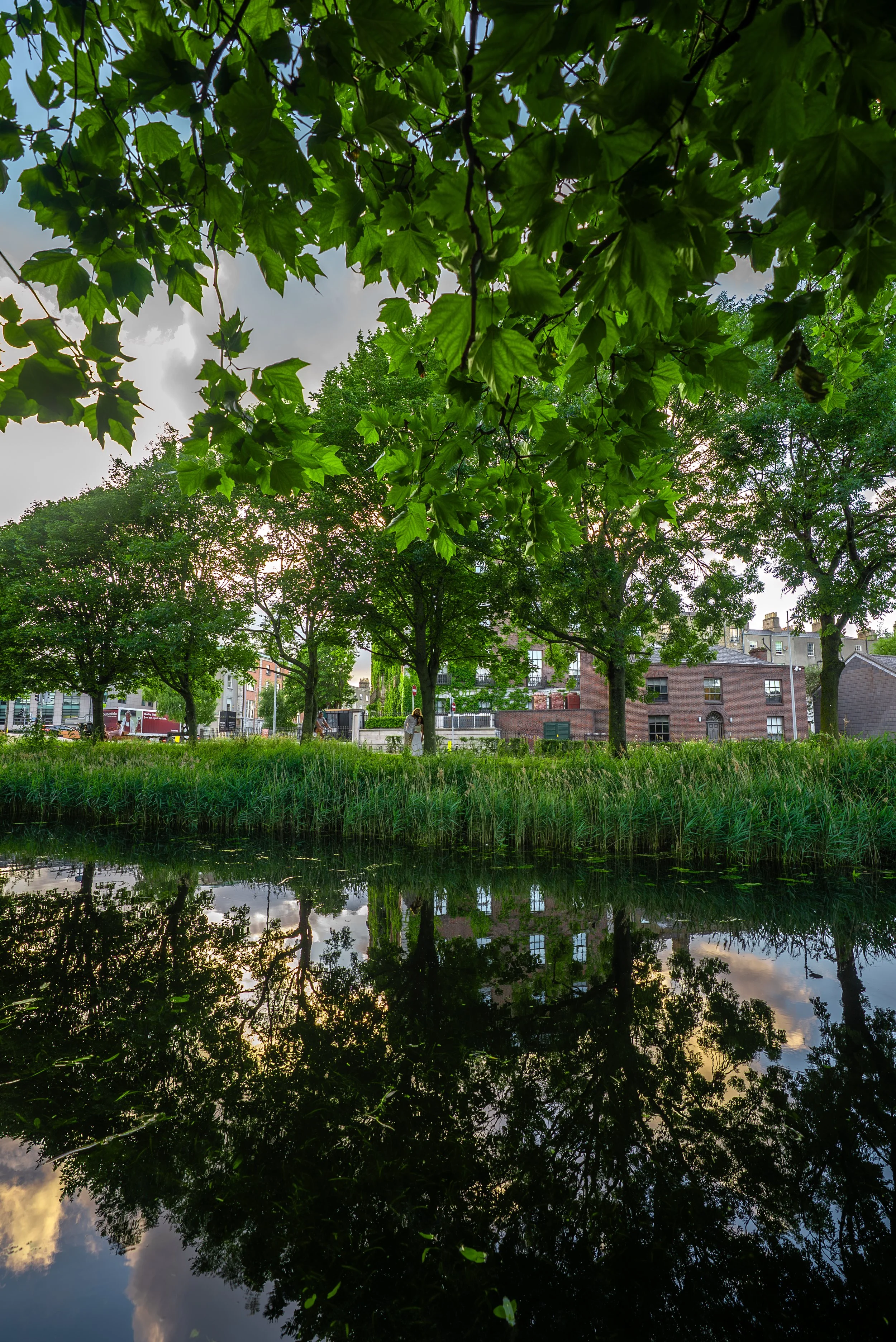dublin-ireland-couples-photographer-riverside-greenery.jpg