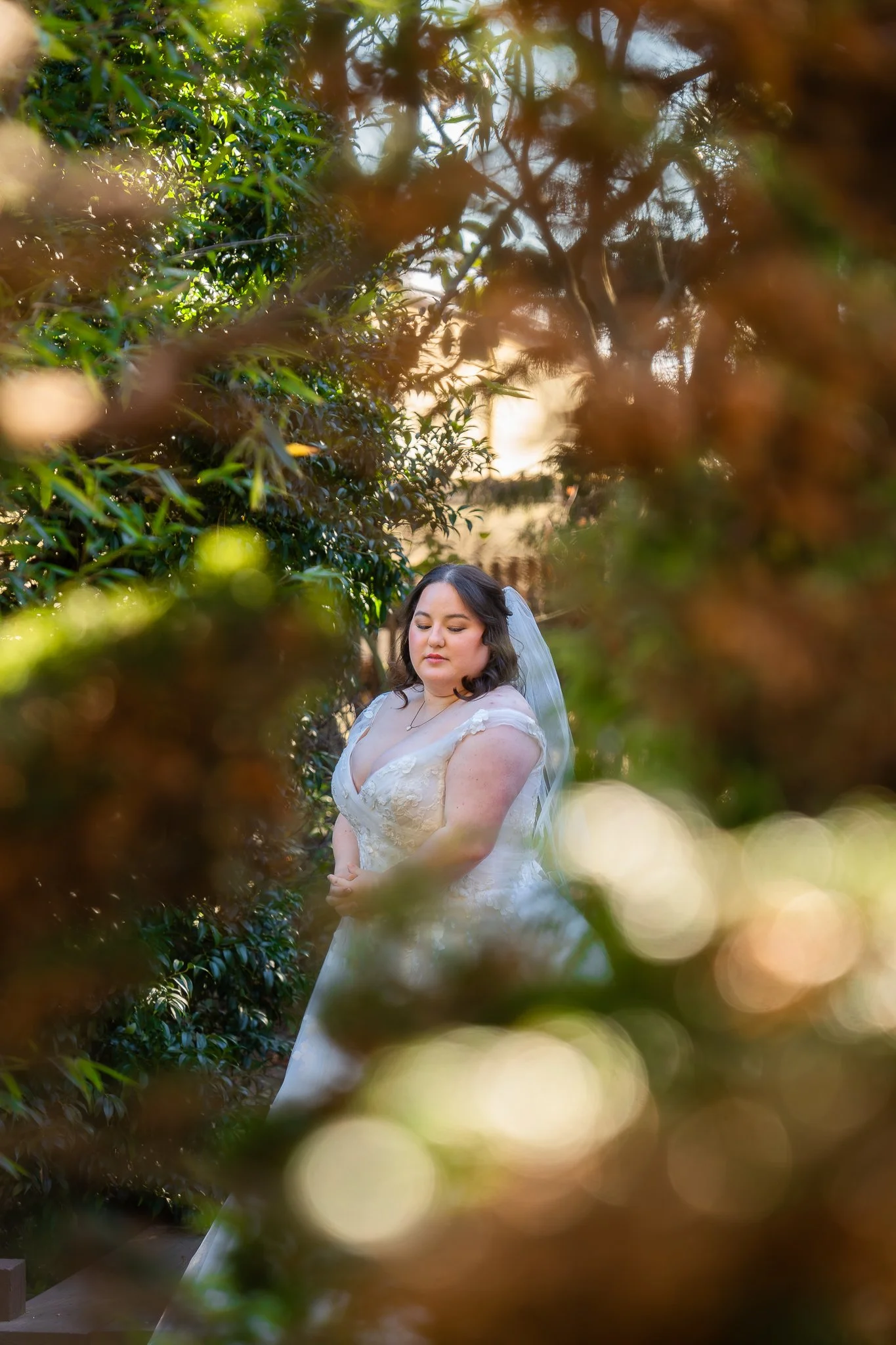 jc-raulston-arboretum-raleigh-nc-bridal-portraits-golden-hour-bokeh.jpg