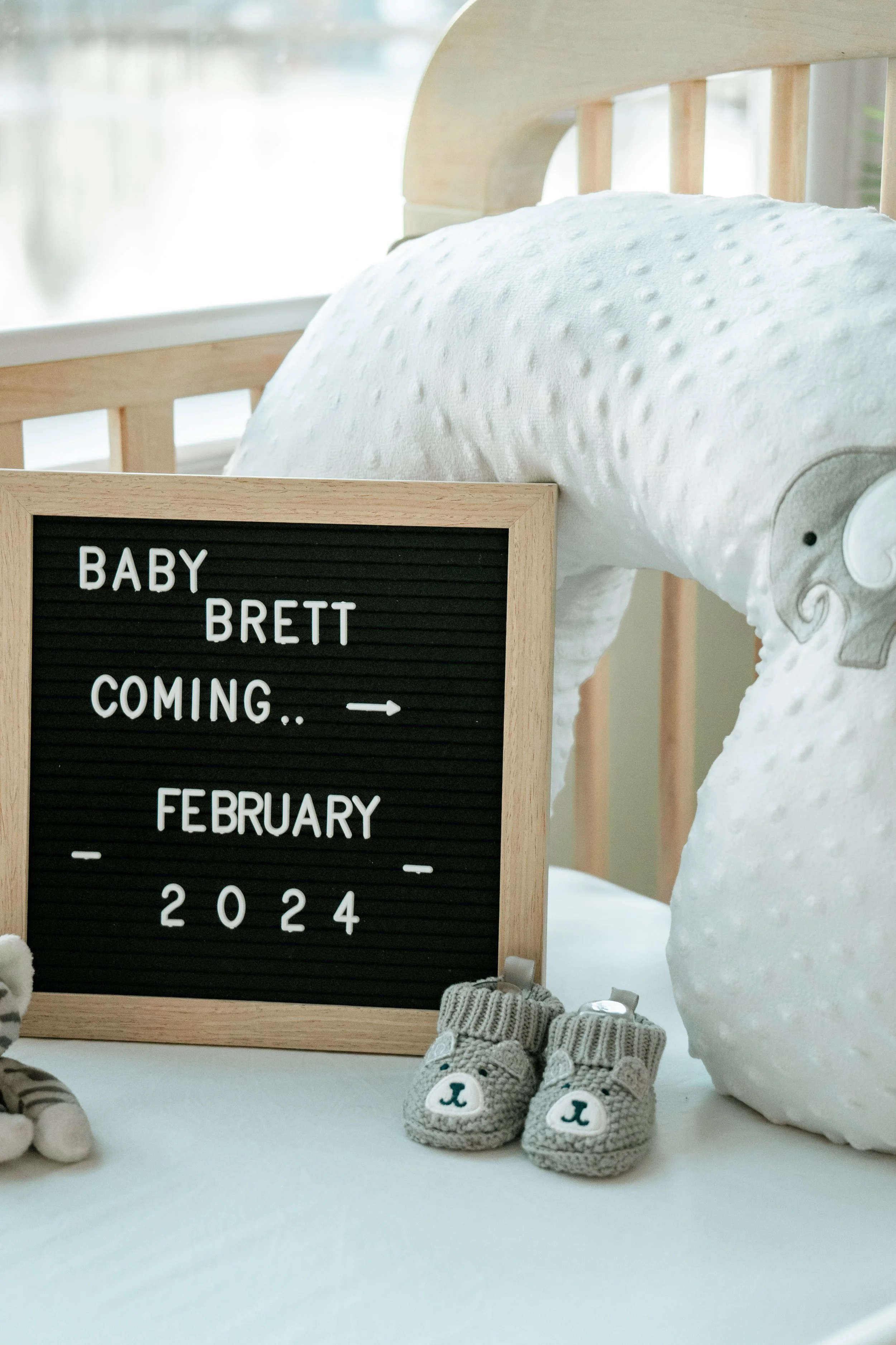 north-carolina-maternity-photographer-baby-announcement-sign.JPG