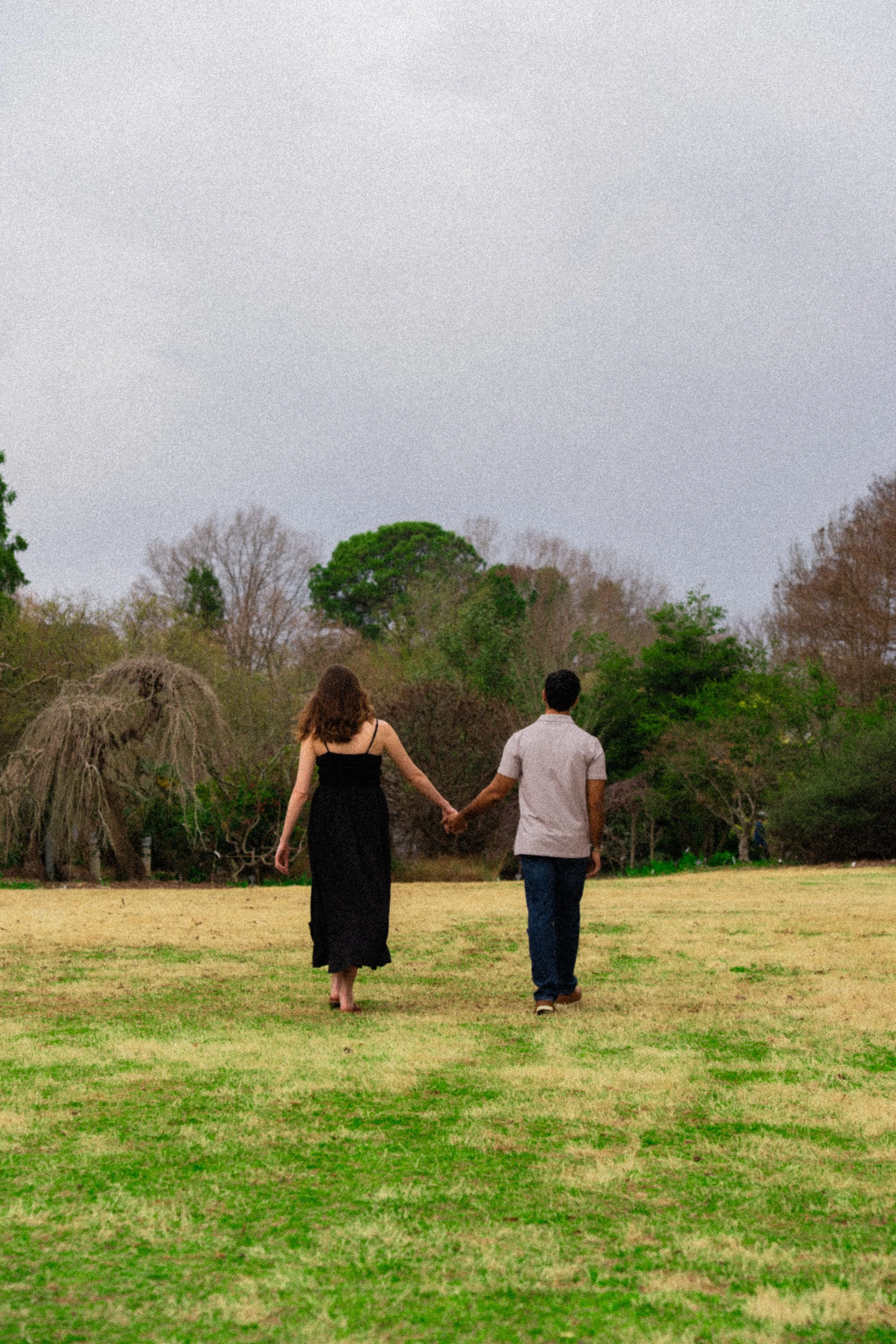 jc-raulston-arboretum-raleigh-nc-maternity-session-back-view-field.jpg