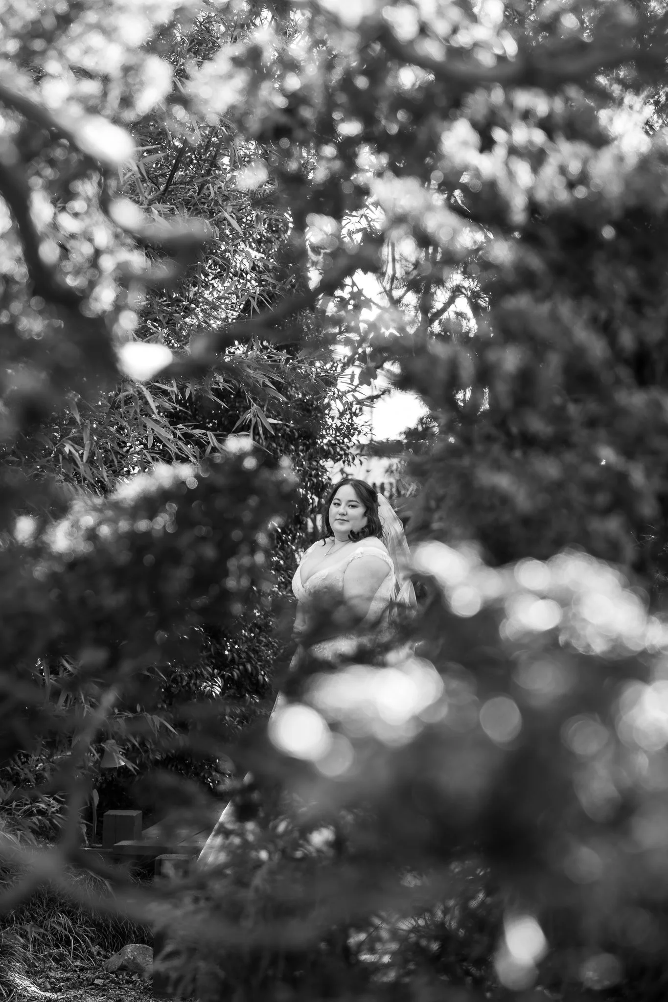 A Timeless Bridal Session at JC Raulston Arboretum