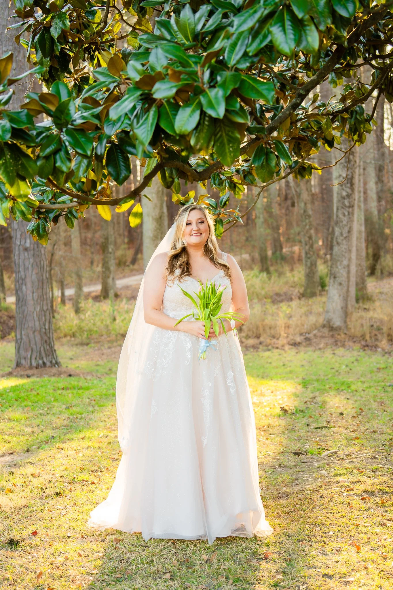 mini-acre-farms-raleigh-nc-bridal-portrait-under-trees-kzk-visuals.jpg