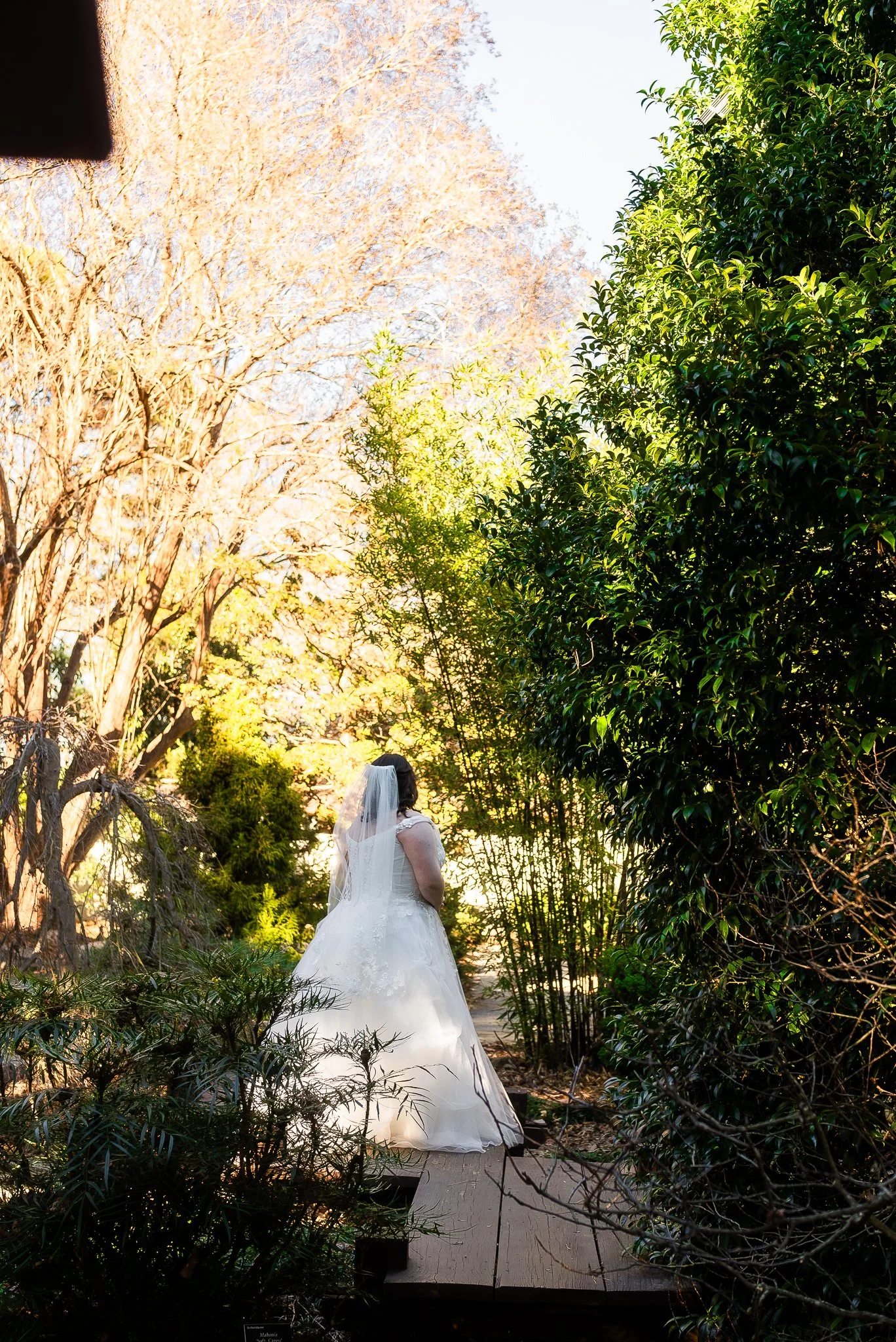 jc-raulston-arboretum-raleigh-nc-bridal-portraits.jpg