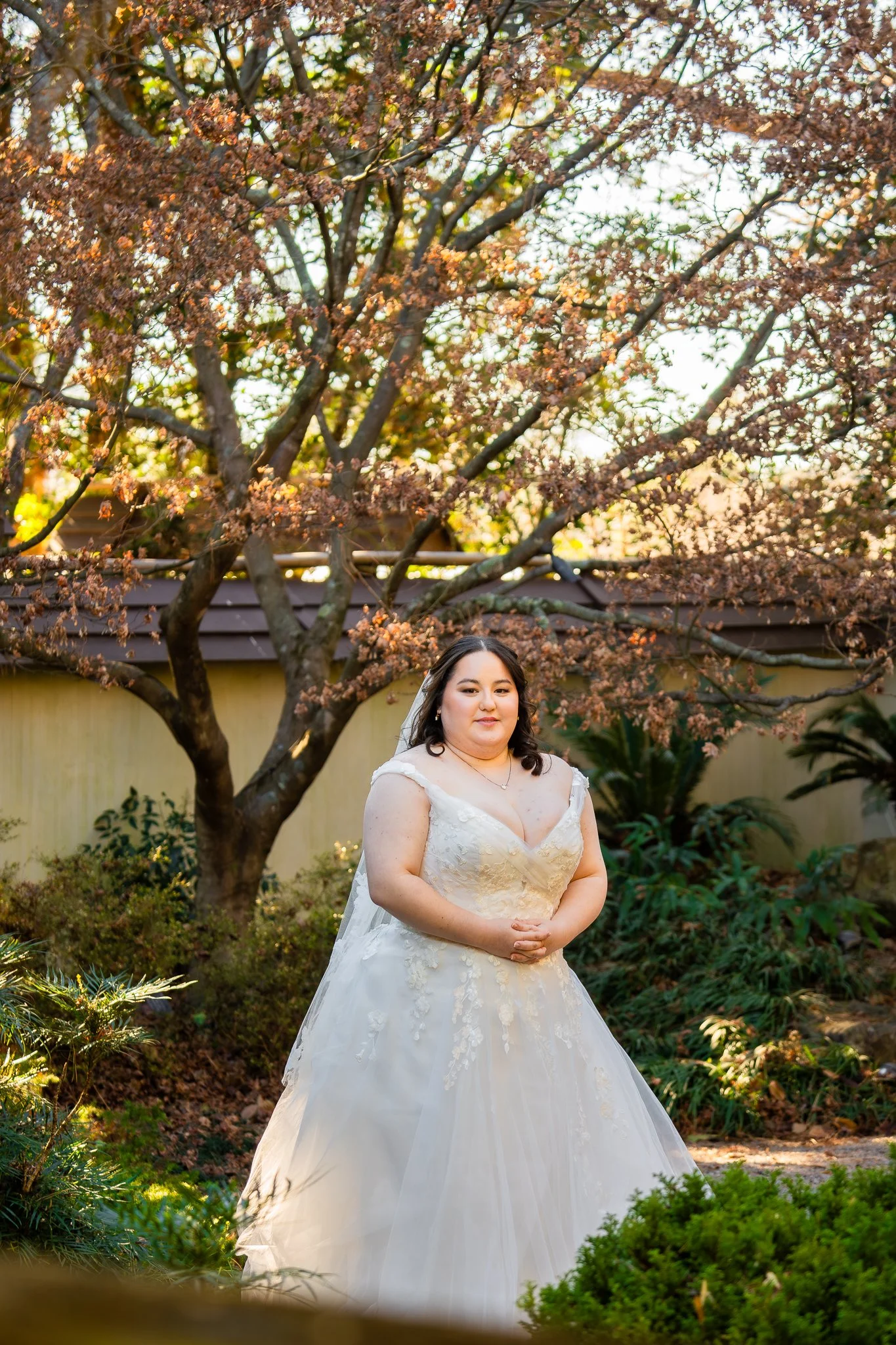 jc-raulston-arboretum-raleigh-nc-bridal-portraits-tree-portrait.jpg