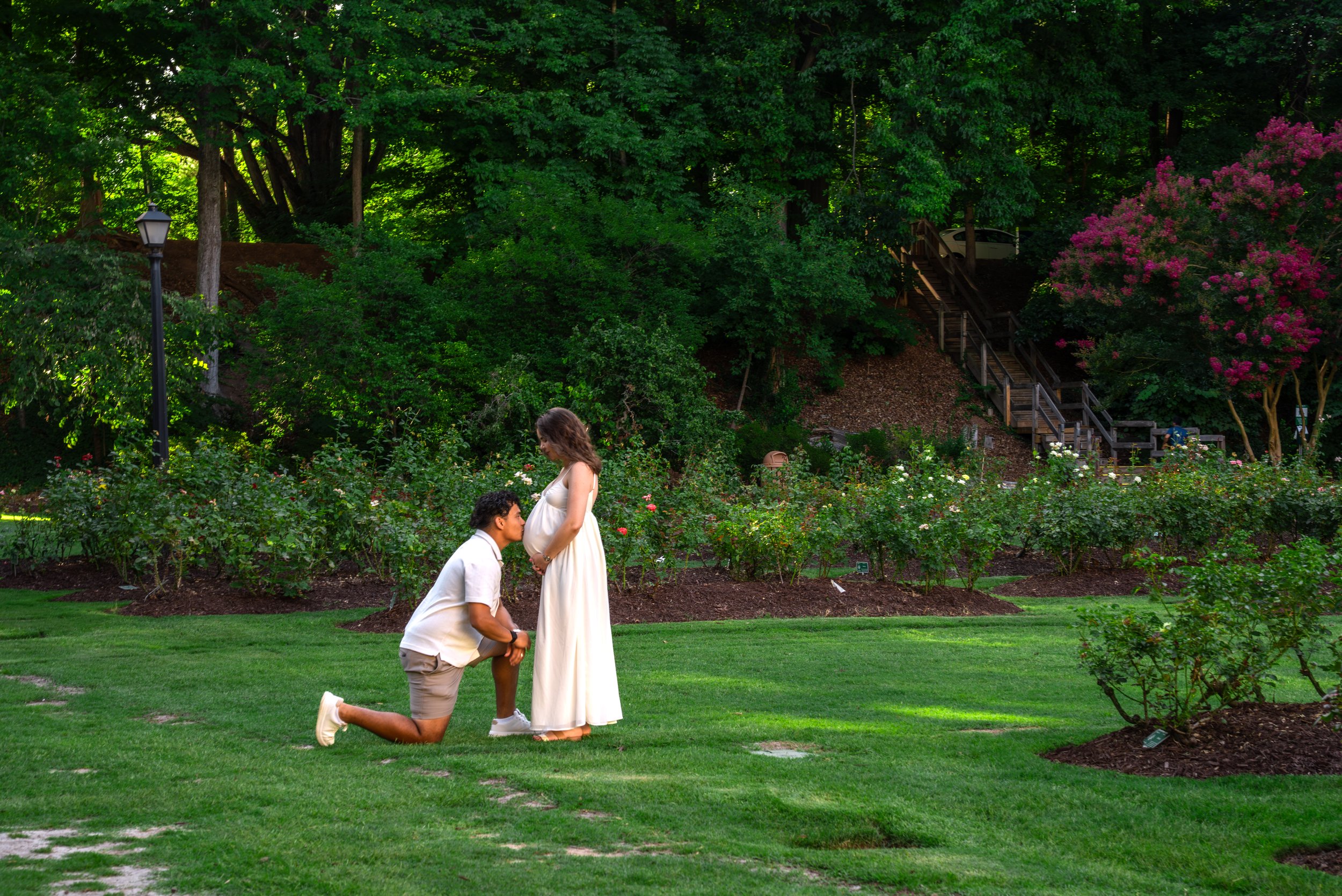 Sunset Maternity Session at The Raleigh Rose Garden