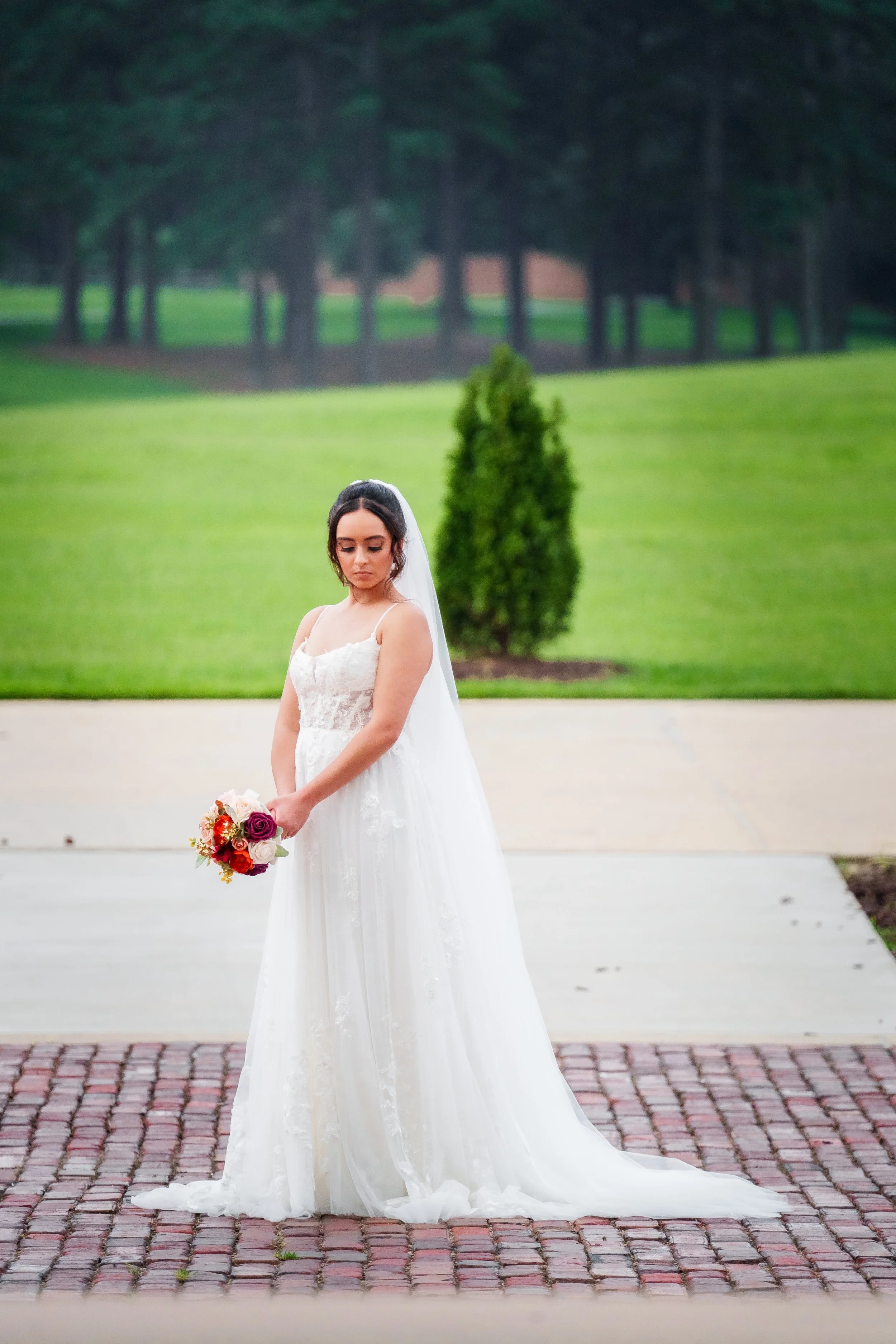 north-carolina-bridal-session-full-length-gown.jpeg