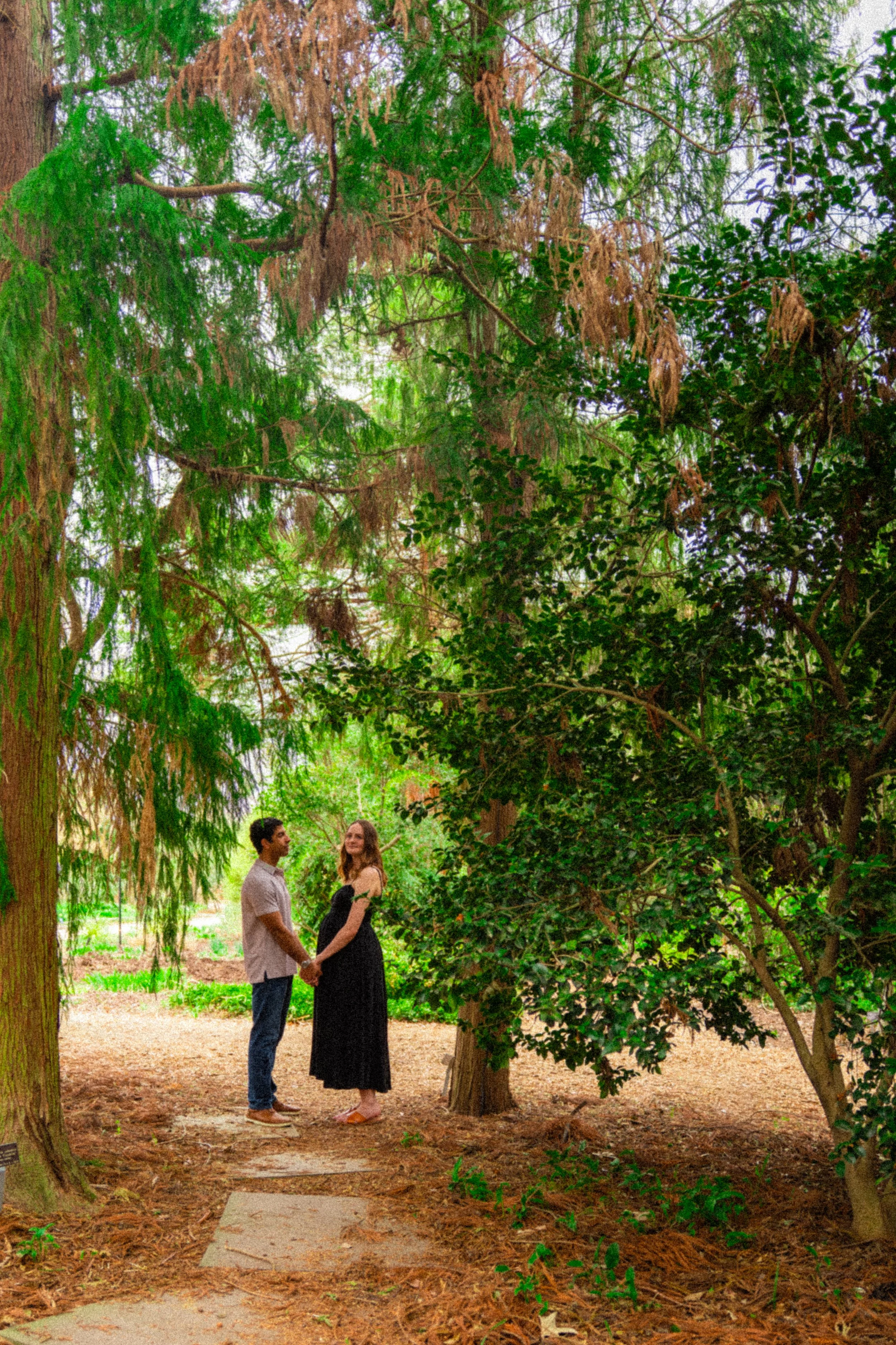 A+Sjc-raulston-arboretum-raleigh-nc-maternity-session-garden-path44.jpg