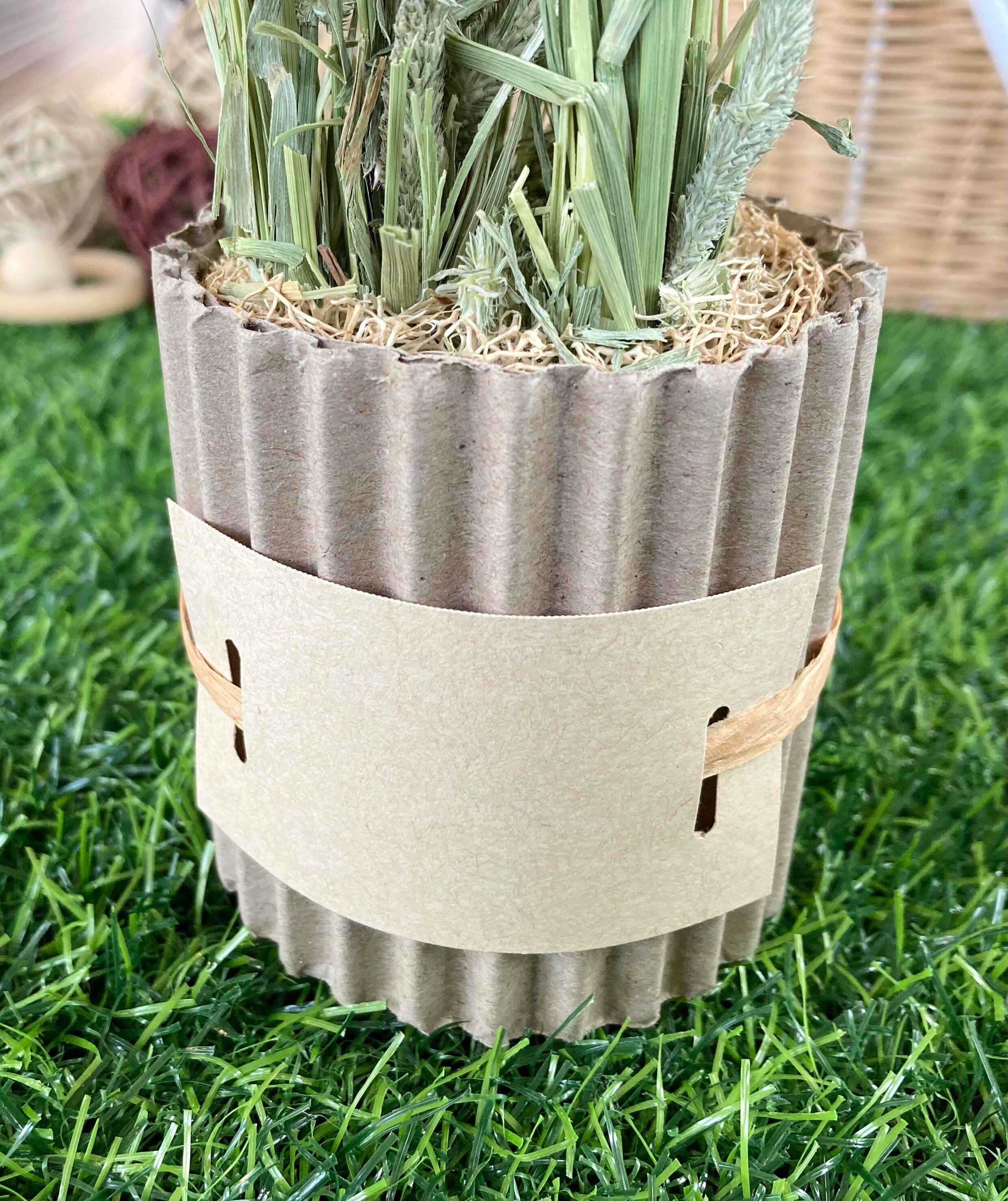 https://i.etsystatic.com/27753751/r/il/f2693c/3382765997/il_fullxfull.3382765997_dlx9.jpg