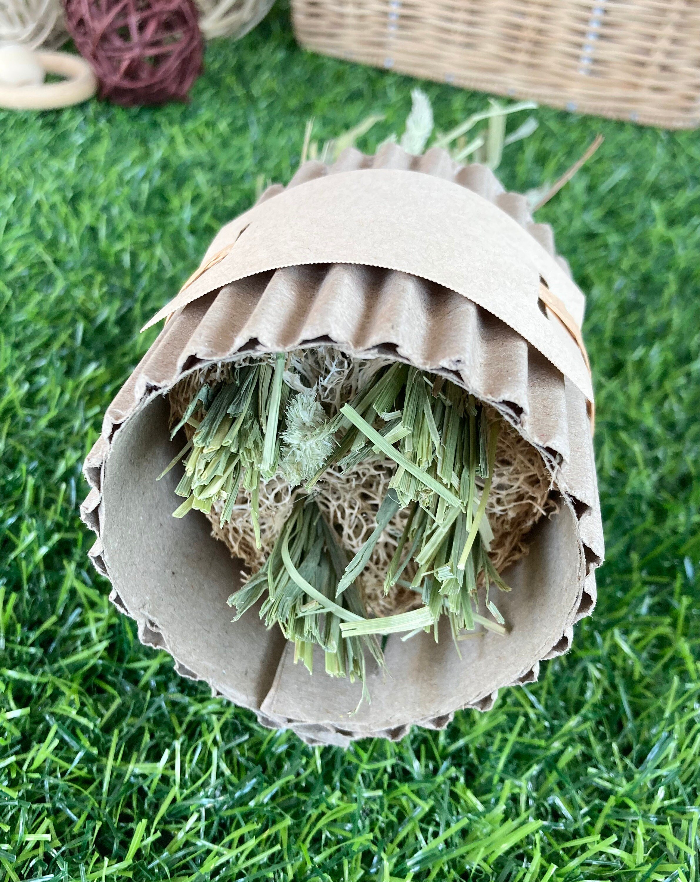 https://i.etsystatic.com/27753751/r/il/53a987/3382765989/il_fullxfull.3382765989_jb48.jpg