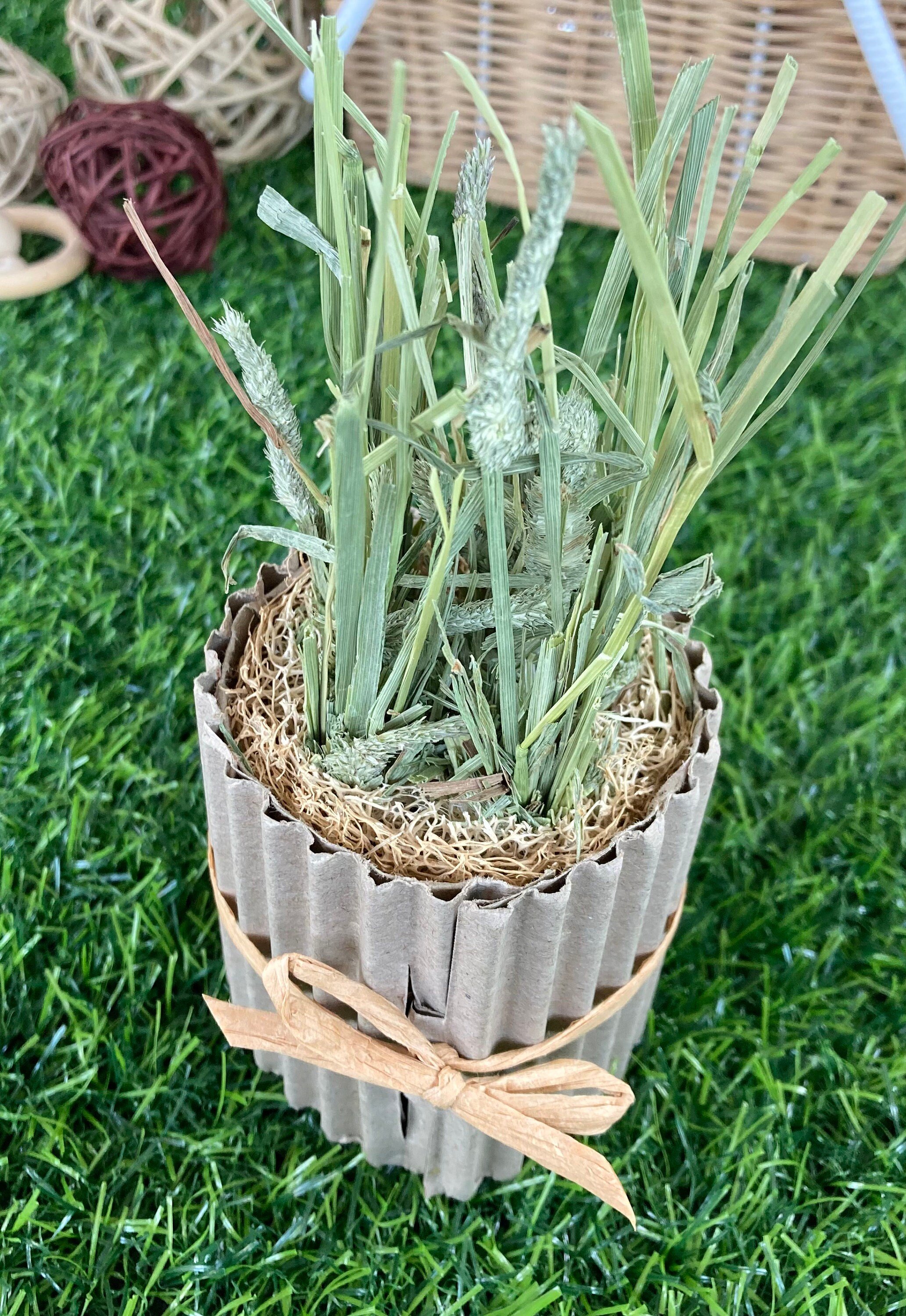https://i.etsystatic.com/27753751/r/il/29d36d/3382765995/il_fullxfull.3382765995_ejak.jpg