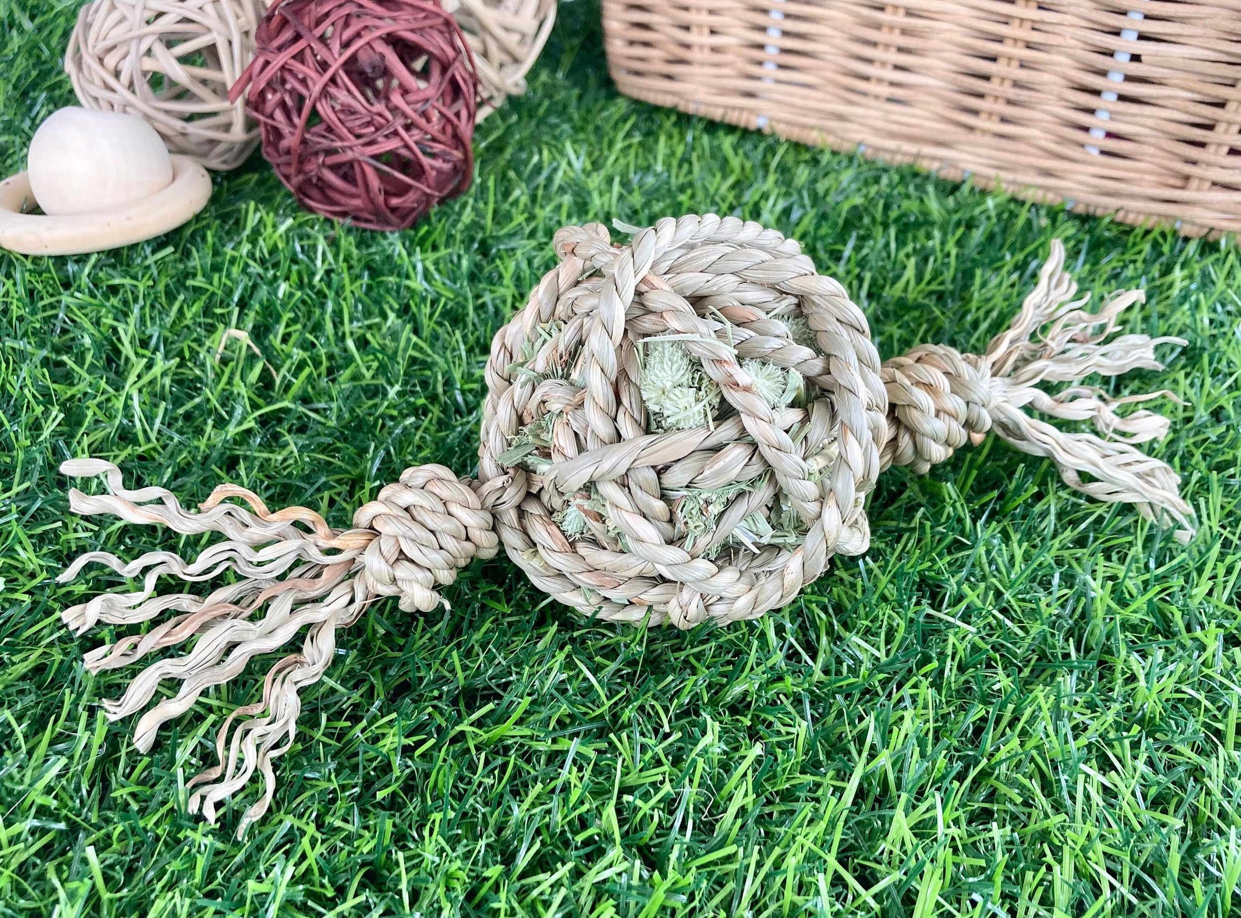 https://i.etsystatic.com/27753751/r/il/ed0f7e/3582619478/il_fullxfull.3582619478_s33p.jpg