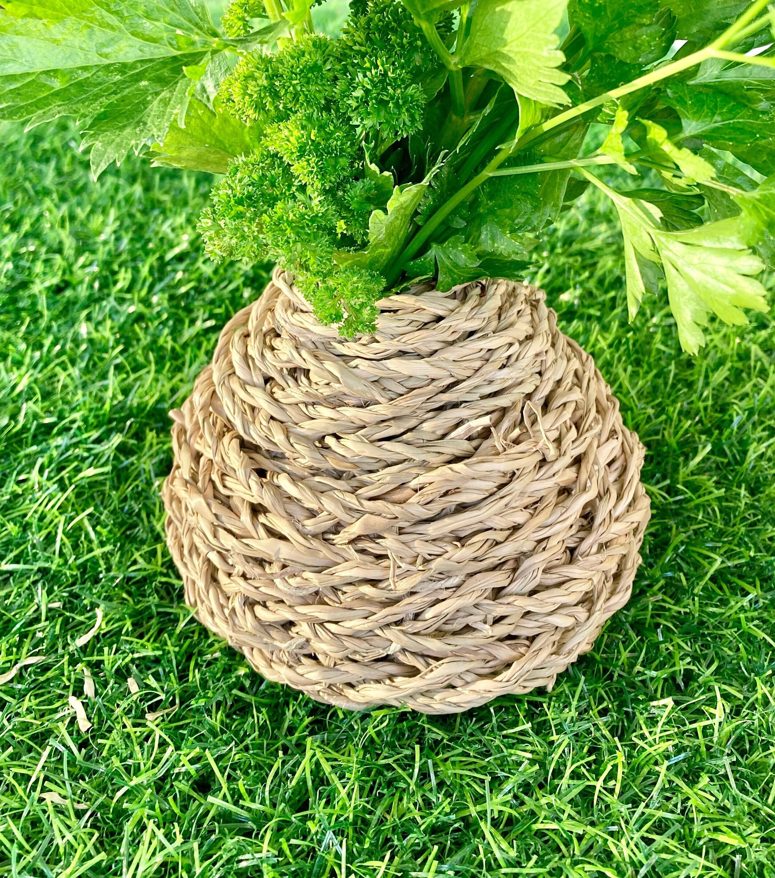 https://i.etsystatic.com/27753751/r/il/cf29ff/5161136707/il_fullxfull.5161136707_n303.jpg
