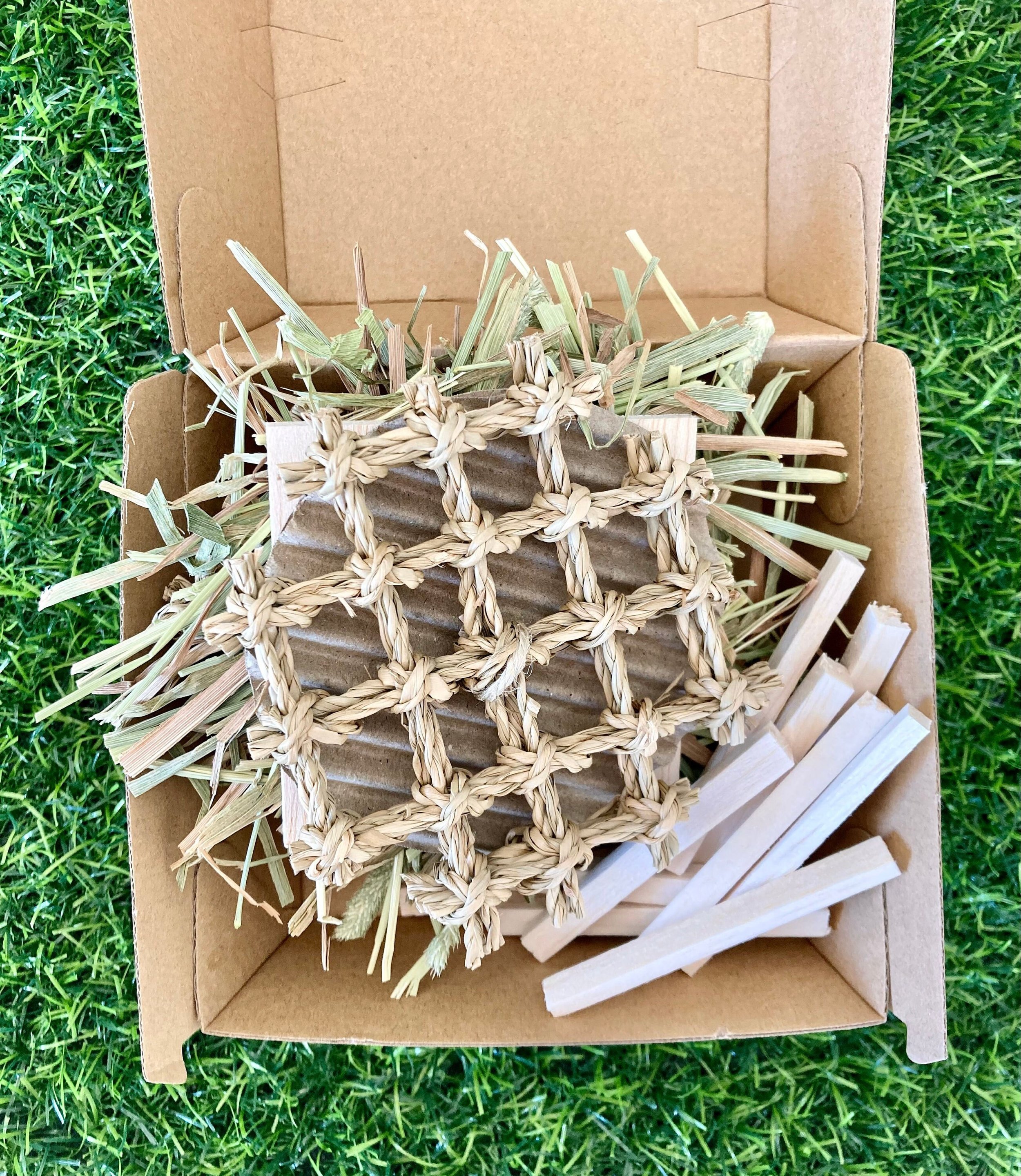 https://i.etsystatic.com/27753751/r/il/547ece/4016336763/il_fullxfull.4016336763_rxha.jpg