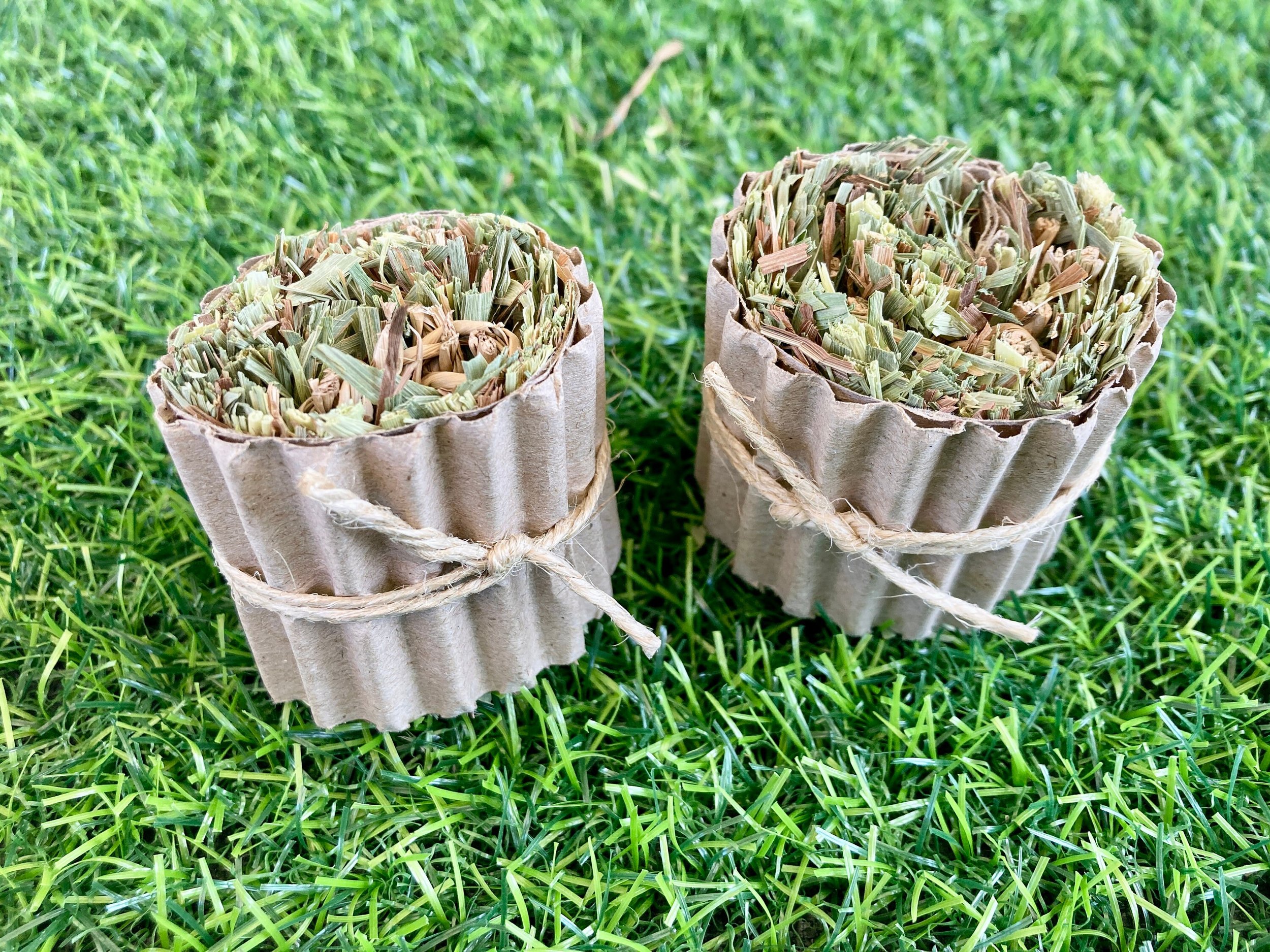 https://i.etsystatic.com/27753751/r/il/1f9bdc/4250648494/il_fullxfull.4250648494_5j6z.jpg