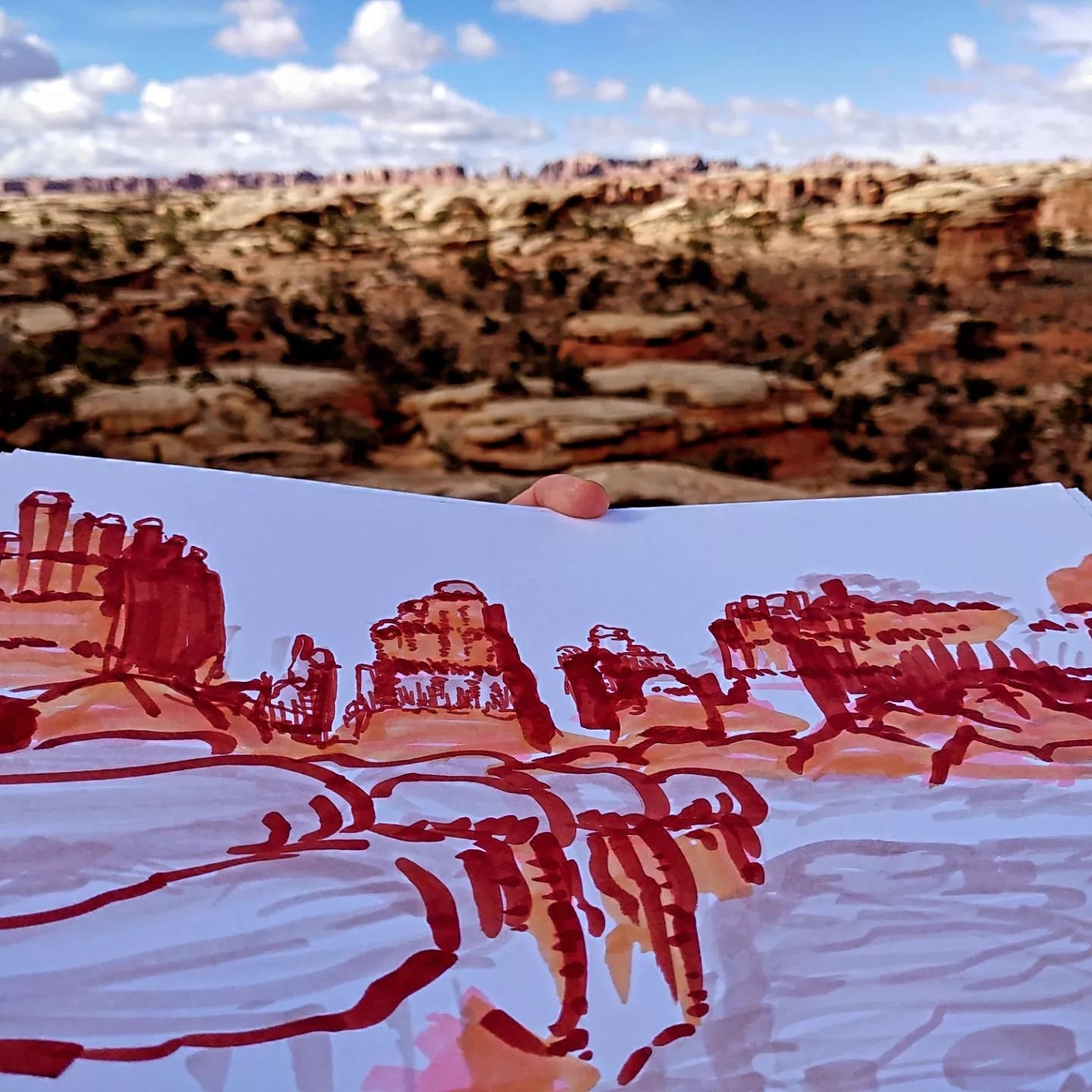 Dropped down south to the Needles District of Canyonlands National Park! I was loving this view of the Needles, and got a few sketches in before I started hunting for the blooms in the area. 

I got caught up in catching the light on this perfect Ind