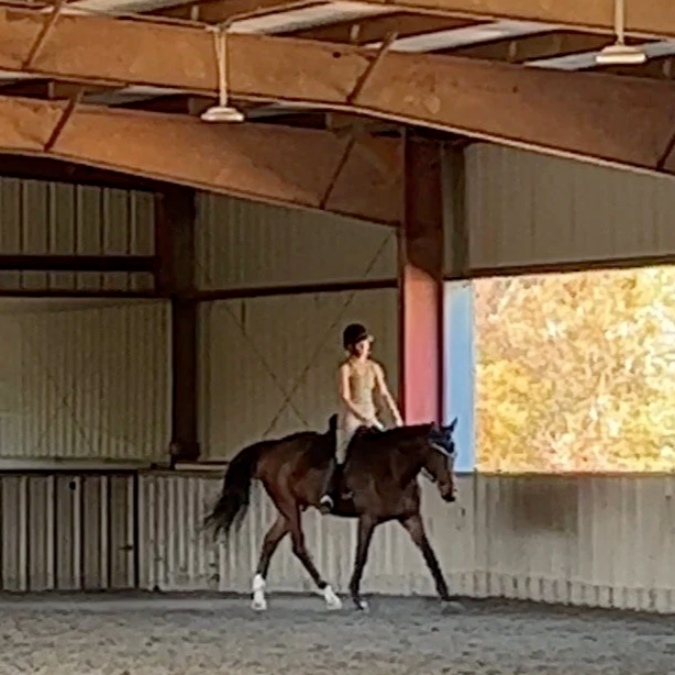 Spring Forward: Seasonal Updates & Farm Prep at Forty-Two Farm 