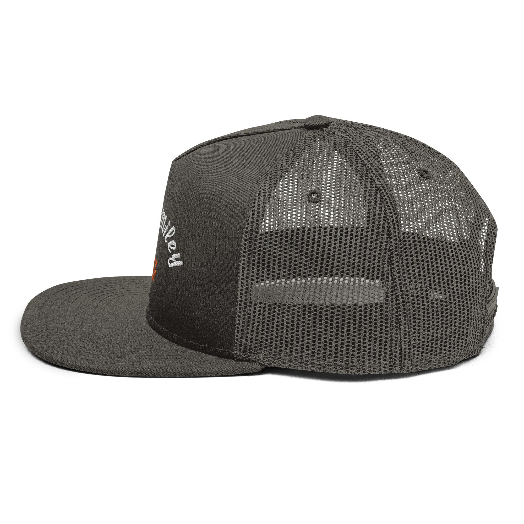 mesh-back-snapback-charcoal-gray-left-65613bd77c821.jpg